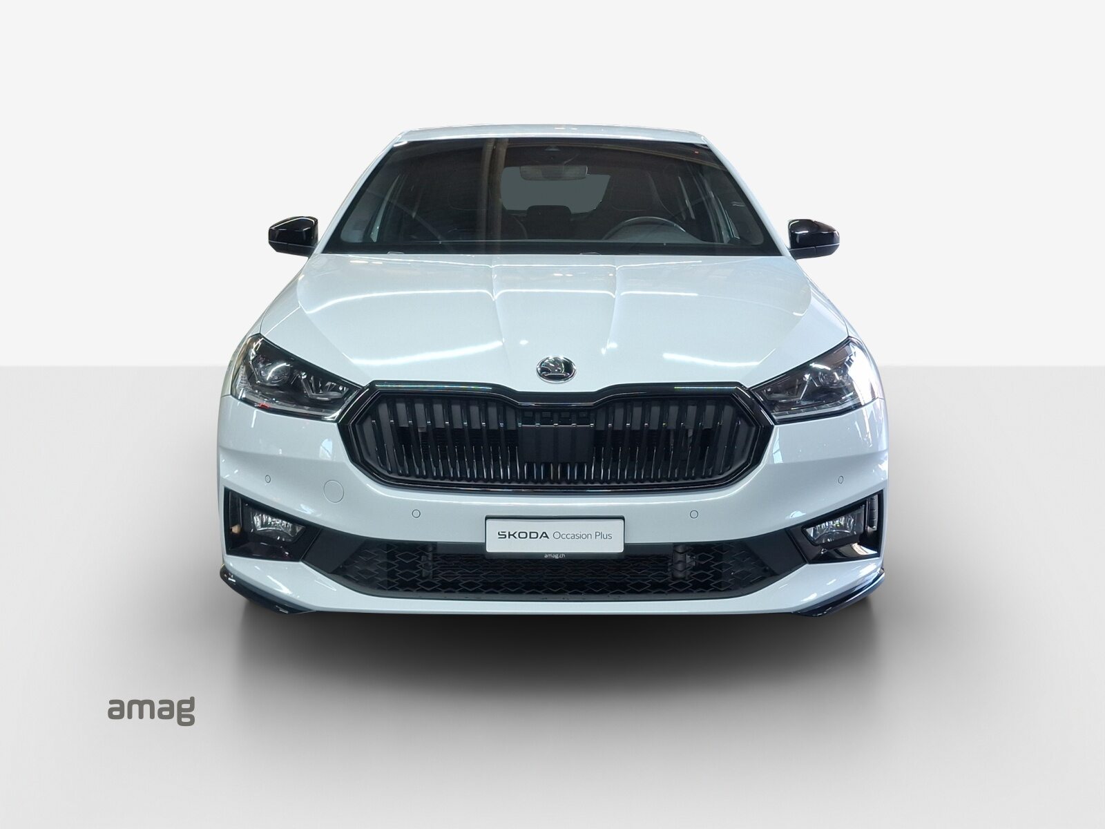 SKODA Fabia Monte Carlo, Benzina, Occasioni / Usate, Automatico - 7