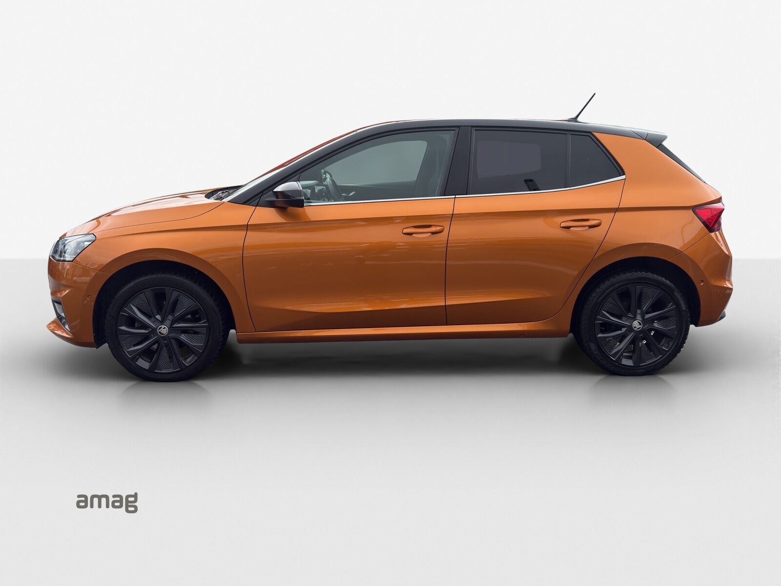 SKODA FABIA Style, Benzina, Occasioni / Usate, Automatico - 2