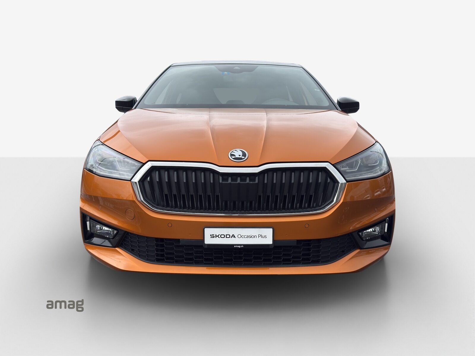 SKODA FABIA Style, Benzina, Occasioni / Usate, Automatico - 7