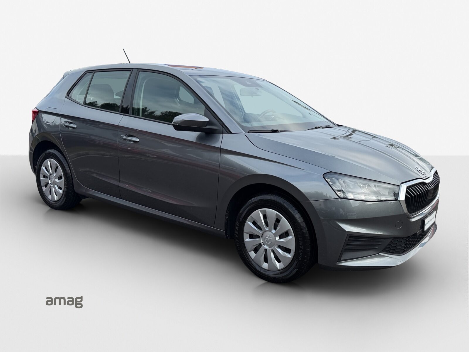 SKODA FABIA Active, Petrol, Second hand / Used, Manual - 6