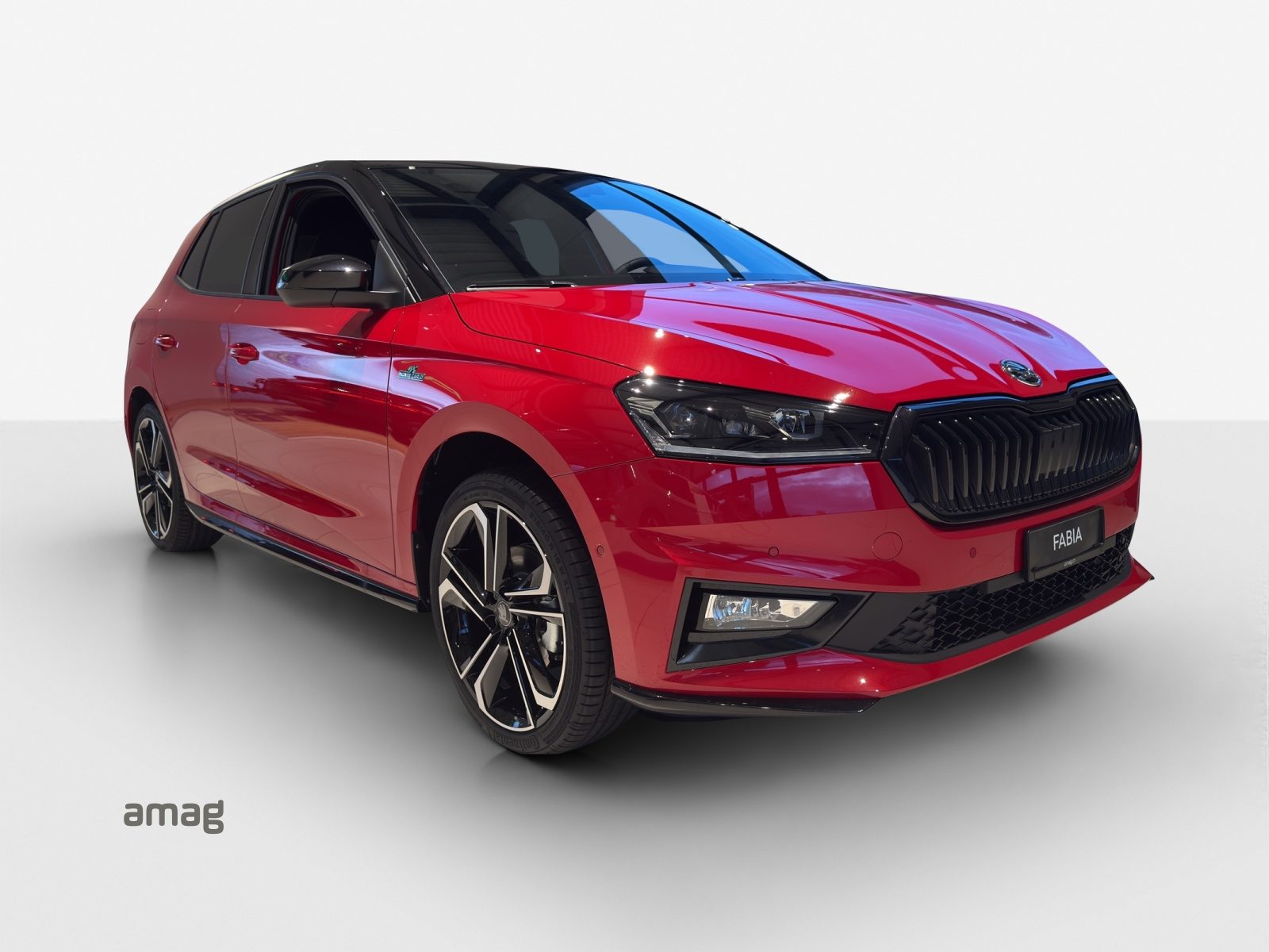 SKODA Fabia Monte Carlo, Benzina, Auto dimostrativa, Automatico - 6