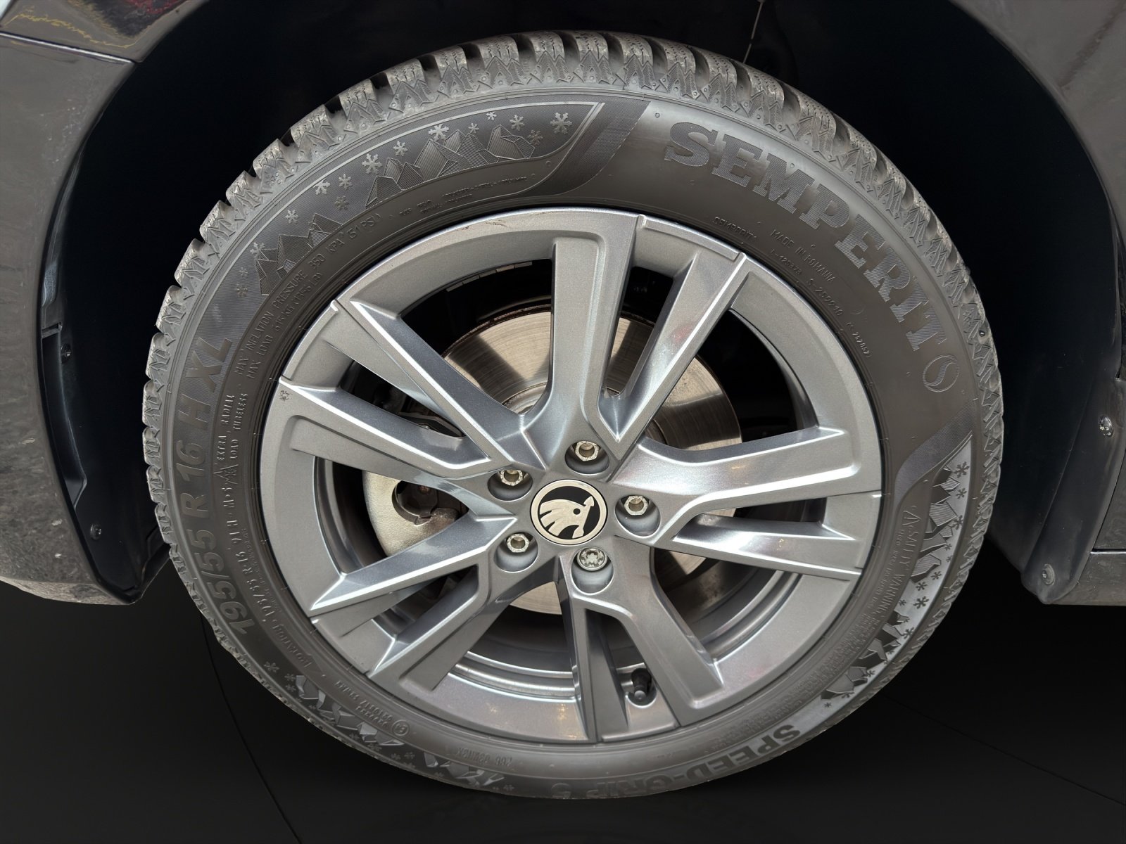 SKODA Fabia 1.0 TSI Dynamic DSG, Benzina, Auto dimostrativa, Automatico - 4