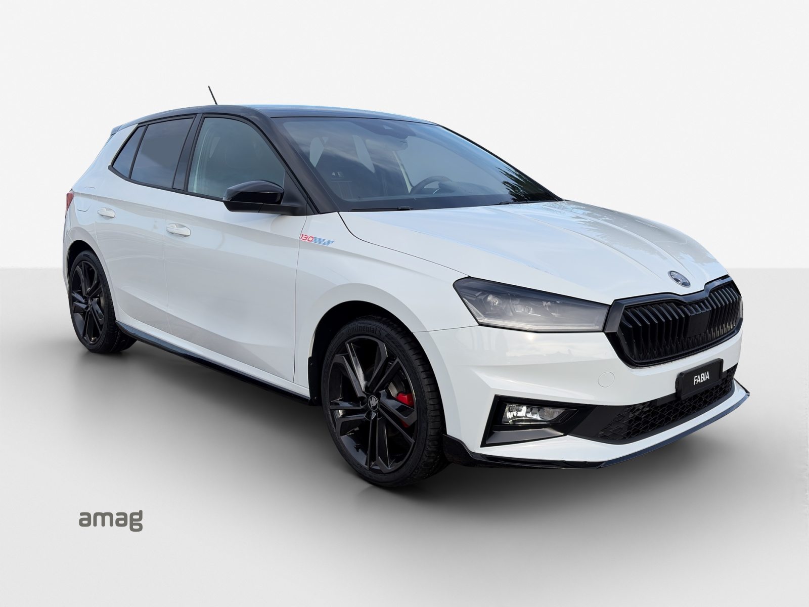 SKODA Fabia 130, Benzina, Auto dimostrativa, Automatico - 6