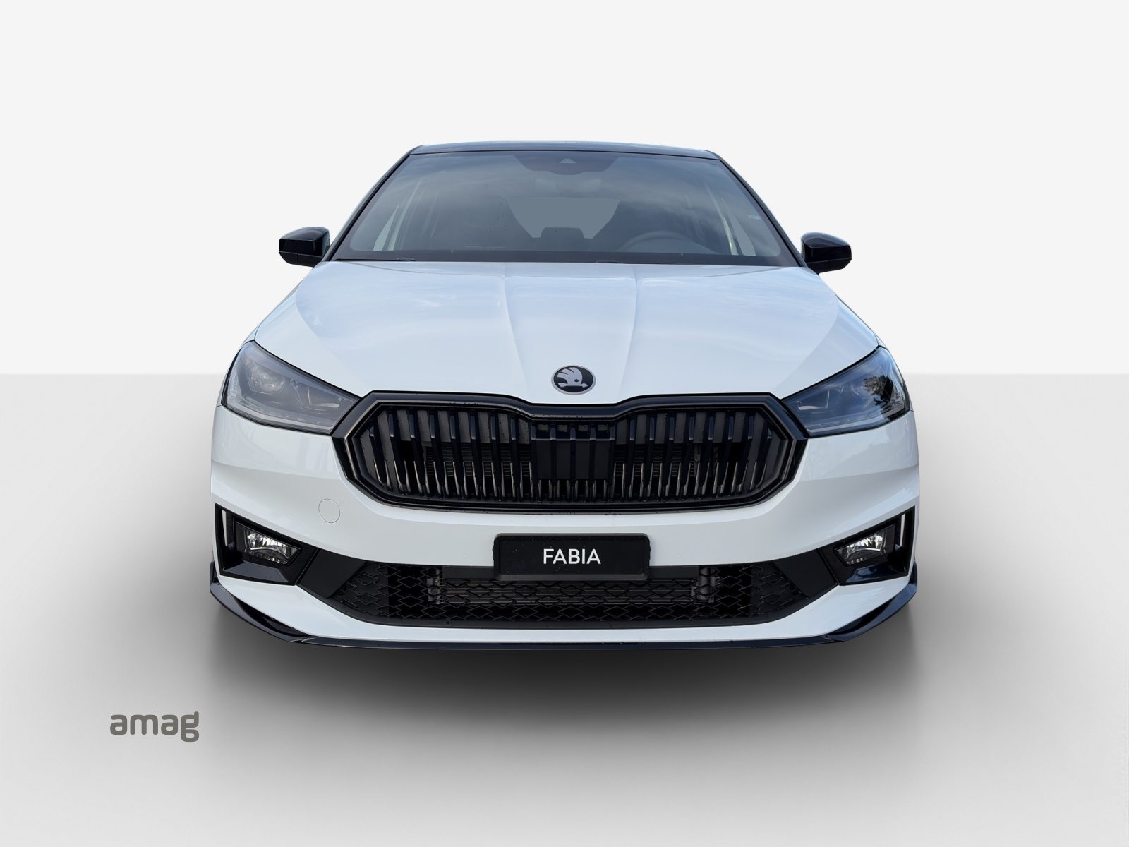SKODA Fabia 130, Benzina, Auto dimostrativa, Automatico - 7