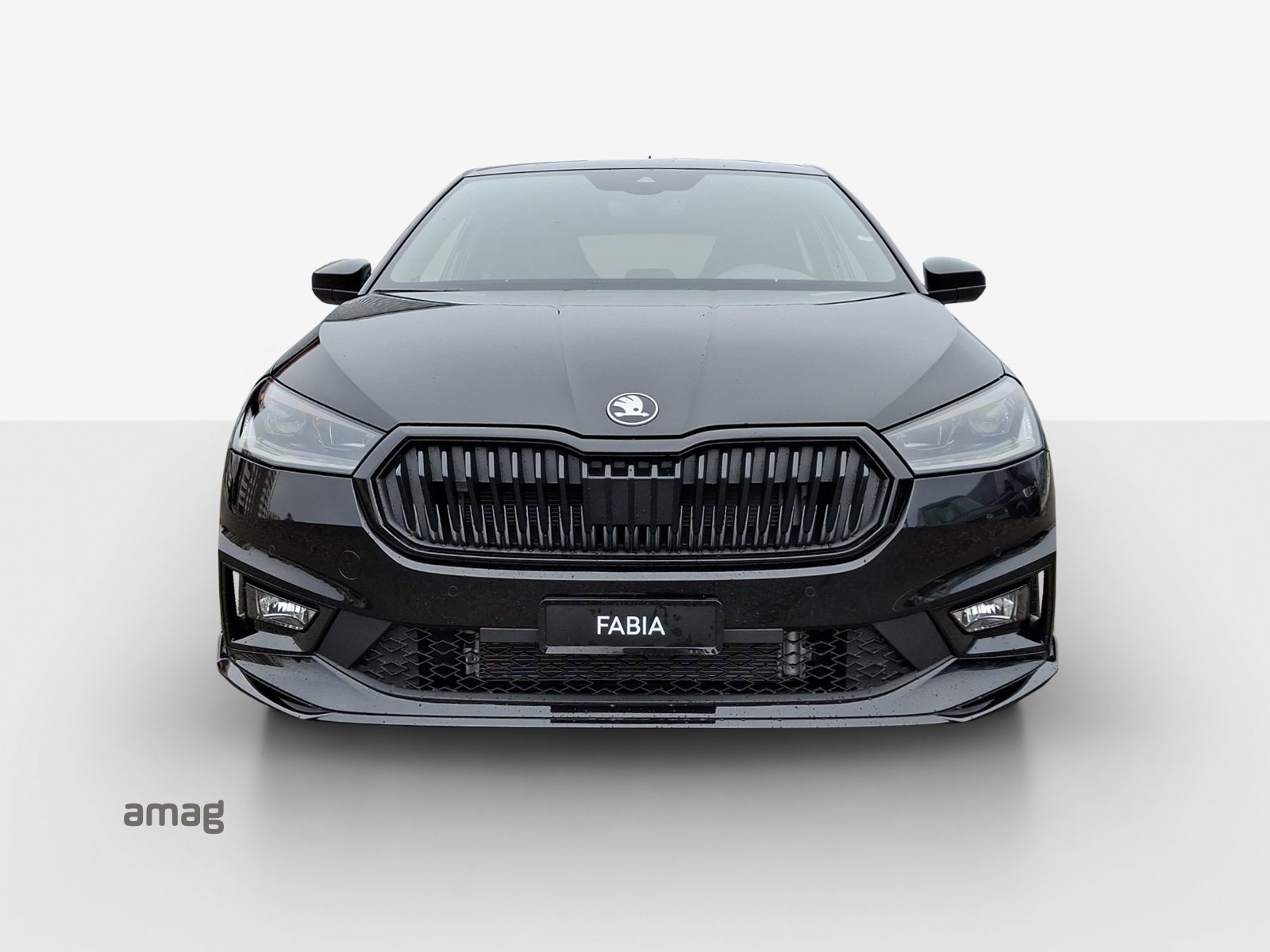 SKODA Fabia 130, Benzina, Auto dimostrativa, Automatico - 6