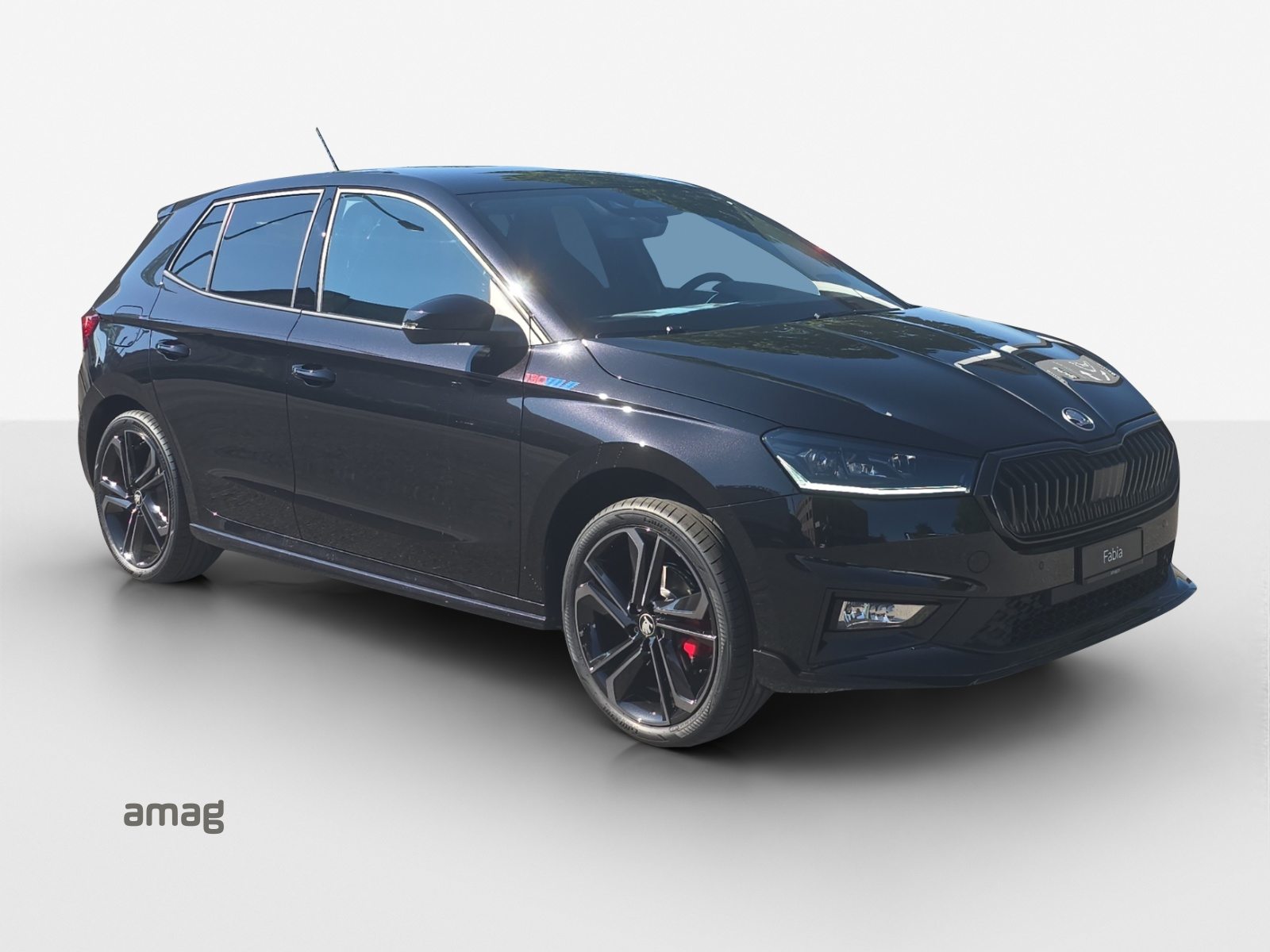 SKODA Fabia 130, Benzina, Auto dimostrativa, Automatico - 6
