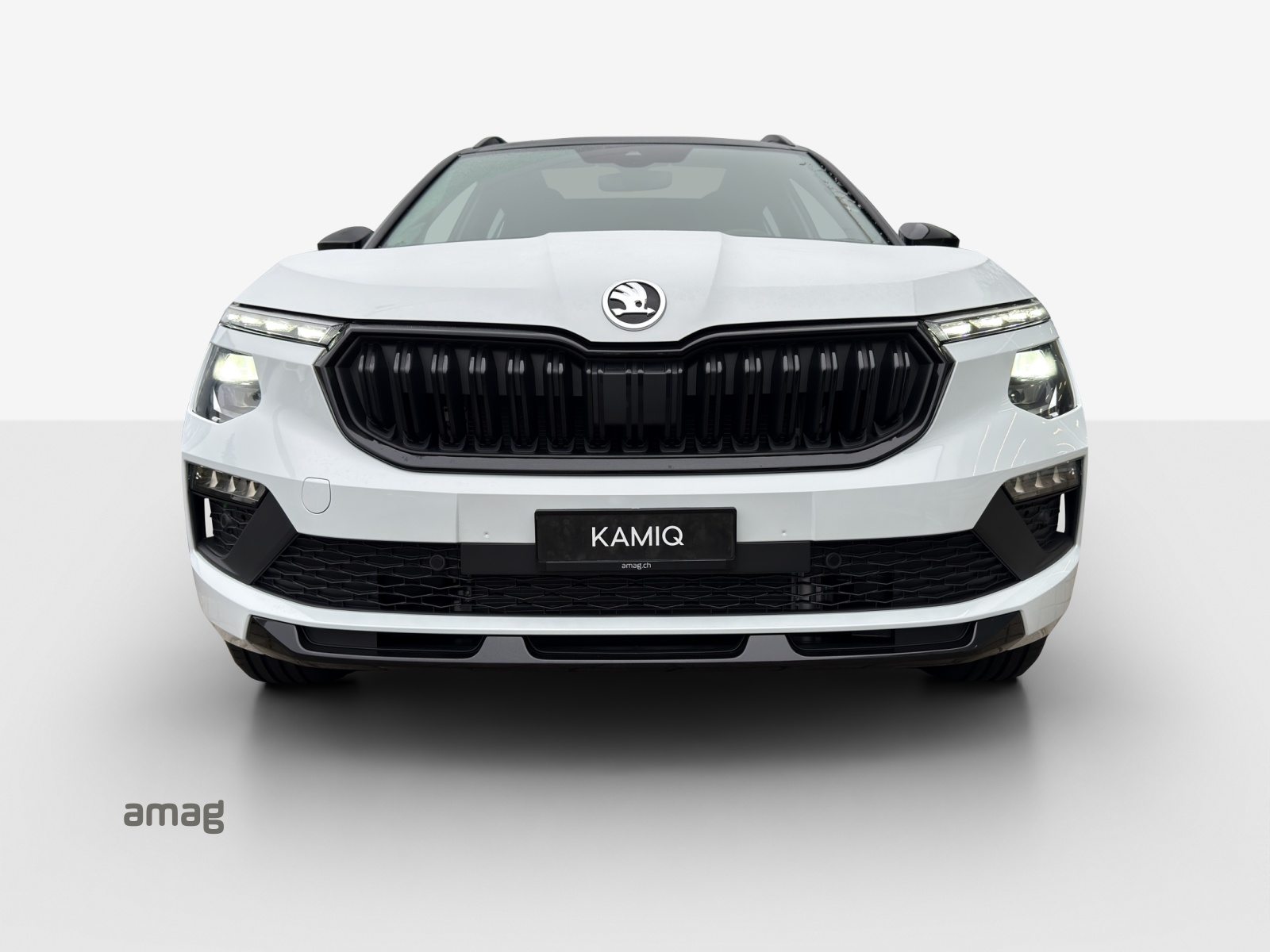 SKODA Kamiq Monte Carlo, Petrol, New car, Automatic - 7