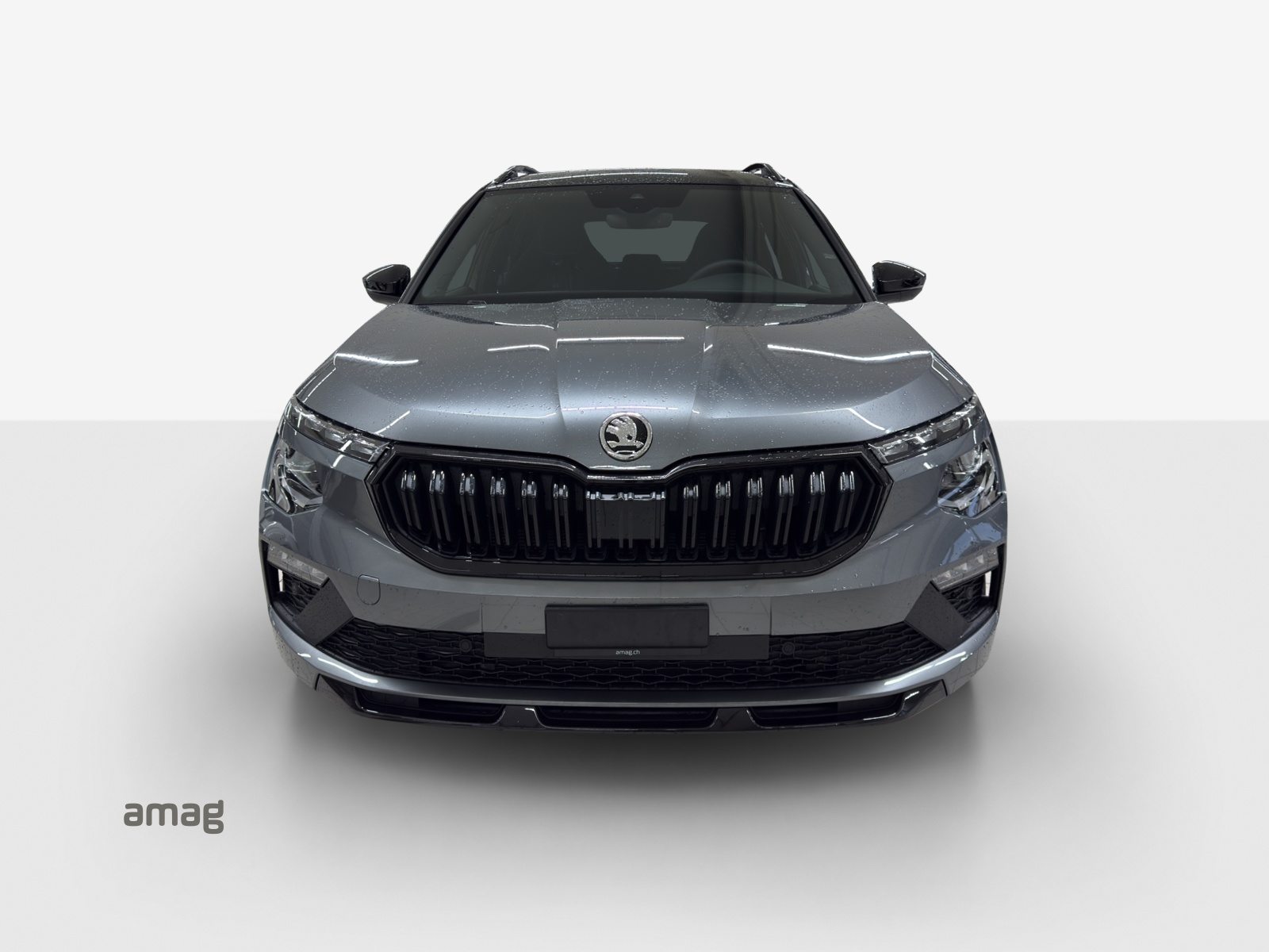 SKODA Kamiq Monte Carlo, Petrol, New car, Automatic - 7