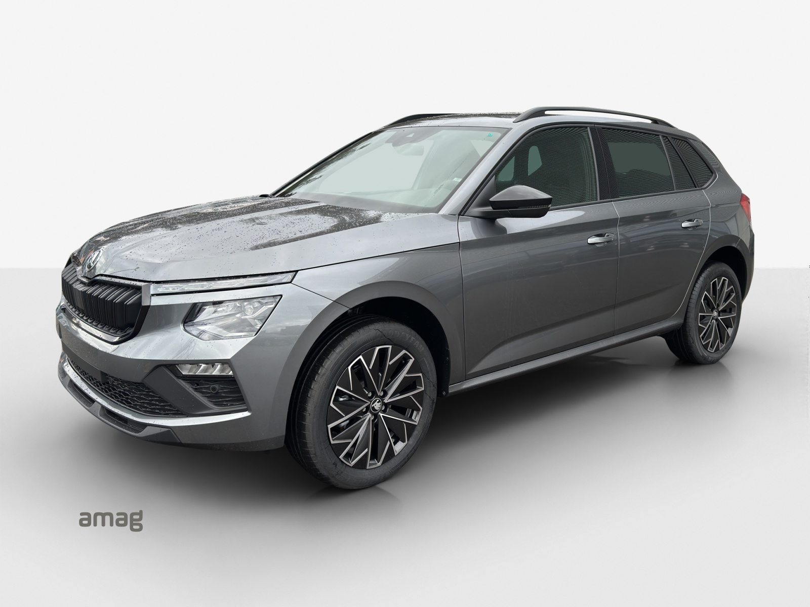 SKODA Kamiq Dynamic (Netto)