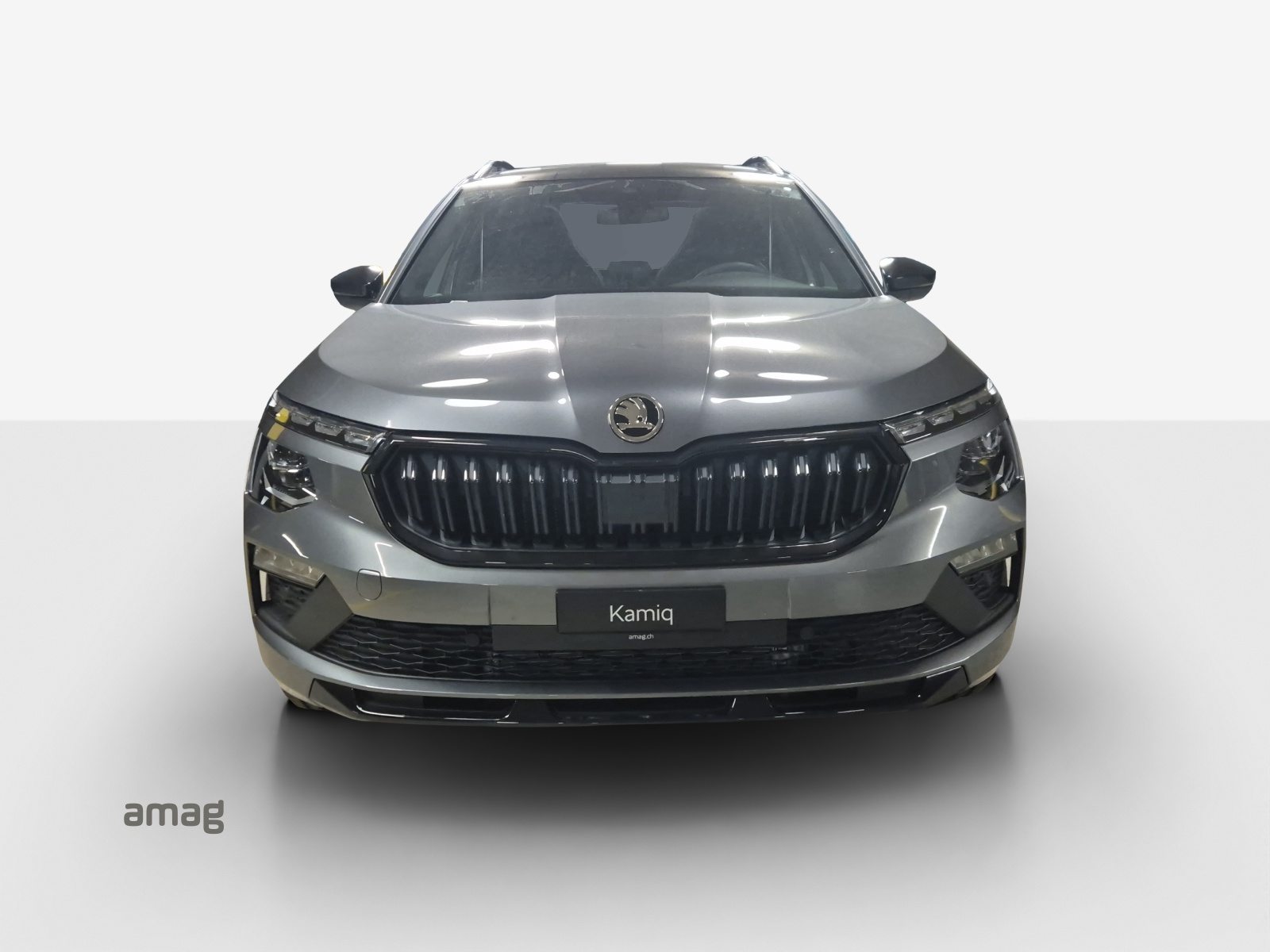 SKODA Kamiq Monte Carlo, Petrol, New car, Automatic - 7