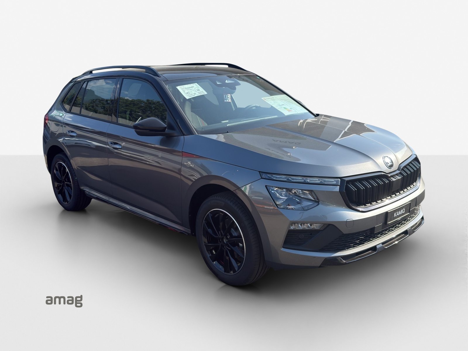 SKODA Kamiq Monte Carlo, Petrol, New car, Automatic - 6