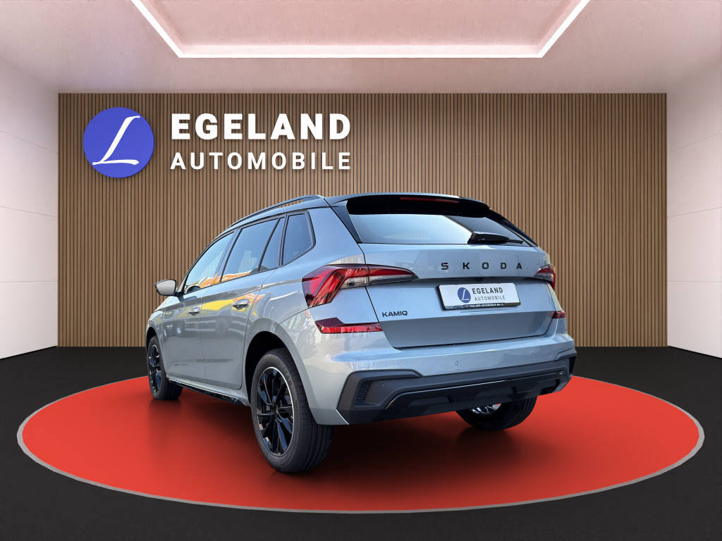 SKODA Kamiq 1.5 TSI Monte Carlo DSG, Benzina, Auto nuove, Automatico - 5