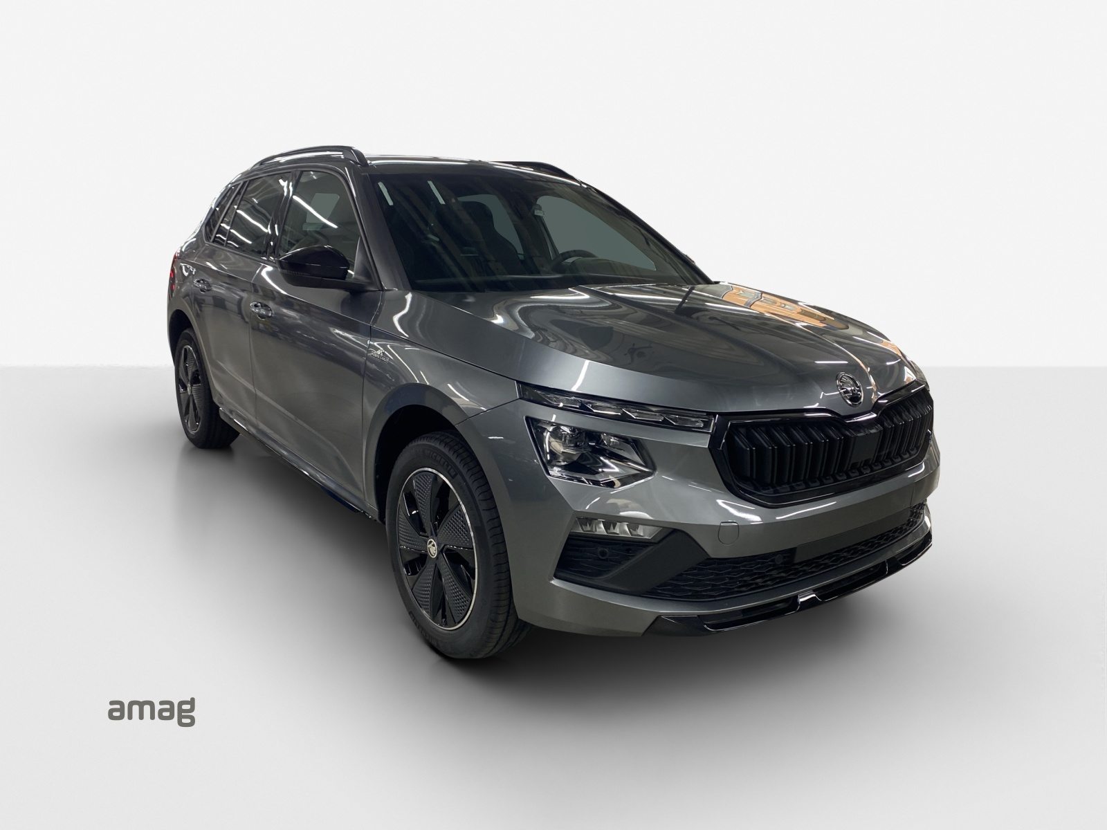 SKODA Kamiq Monte Carlo, Benzin, Occasion / Gebraucht, Automatik - 6