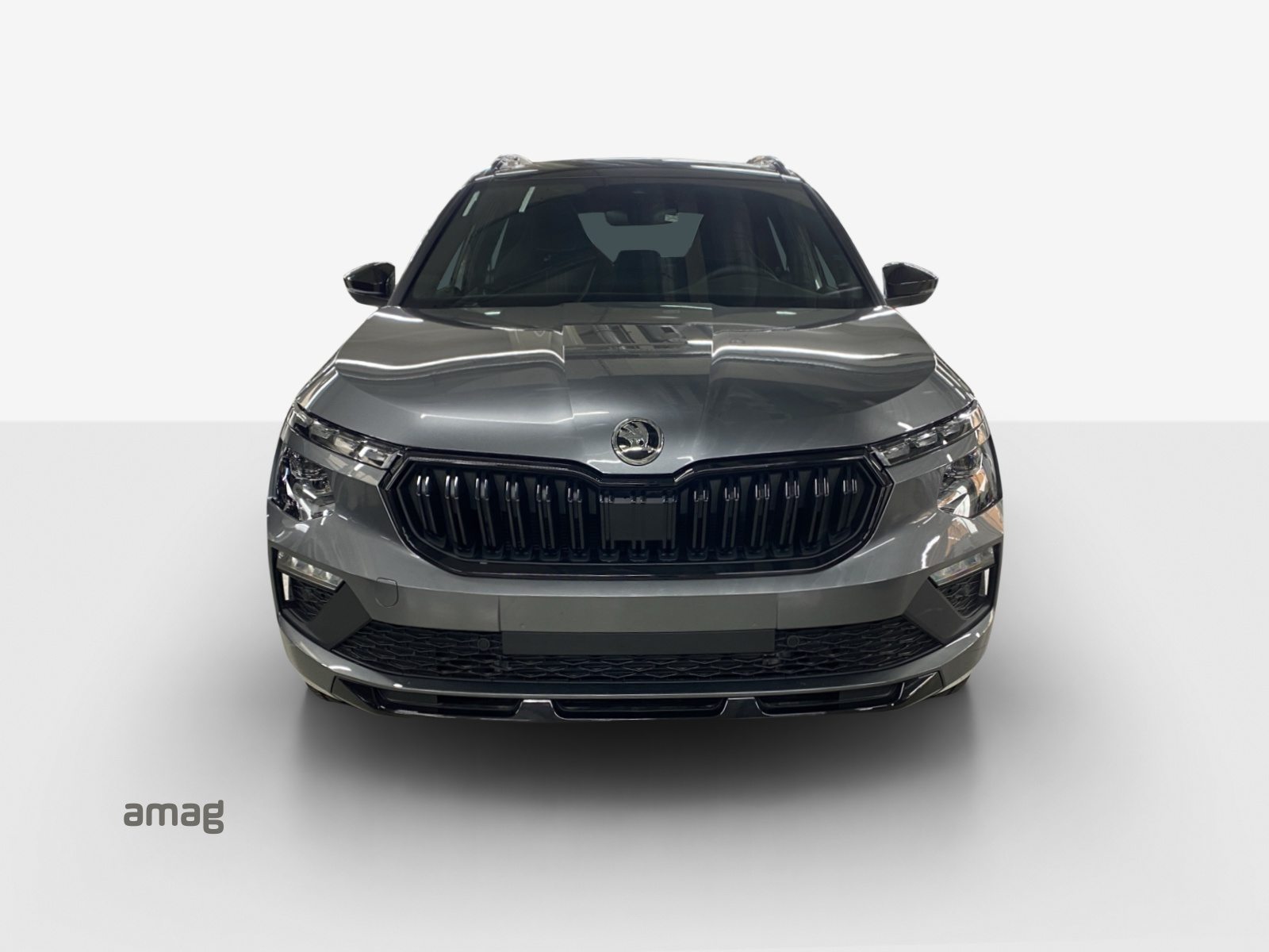 SKODA Kamiq Monte Carlo, Benzin, Occasion / Gebraucht, Automatik - 7