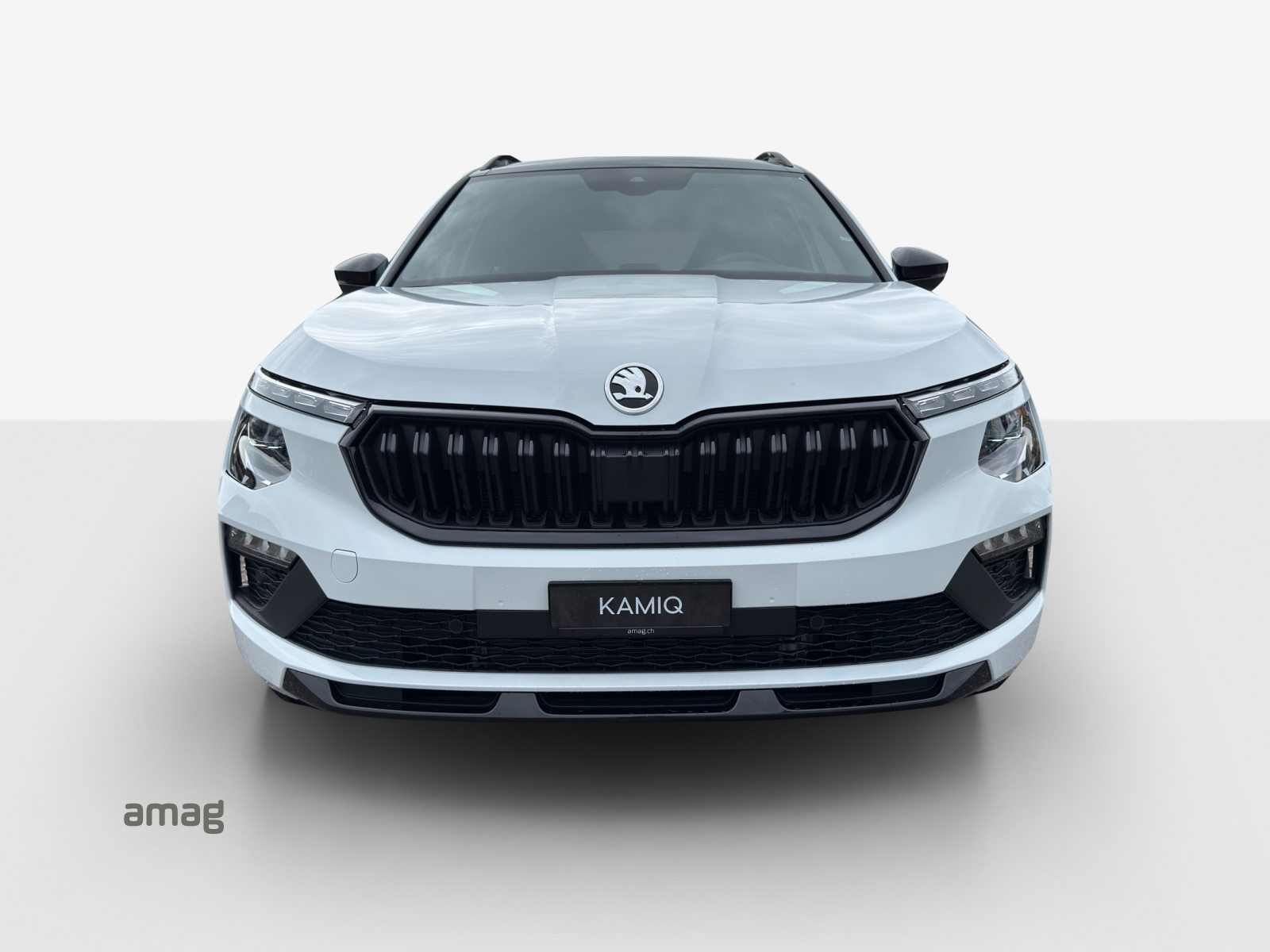 SKODA Kamiq Monte Carlo, Benzina, Occasioni / Usate, Automatico - 7