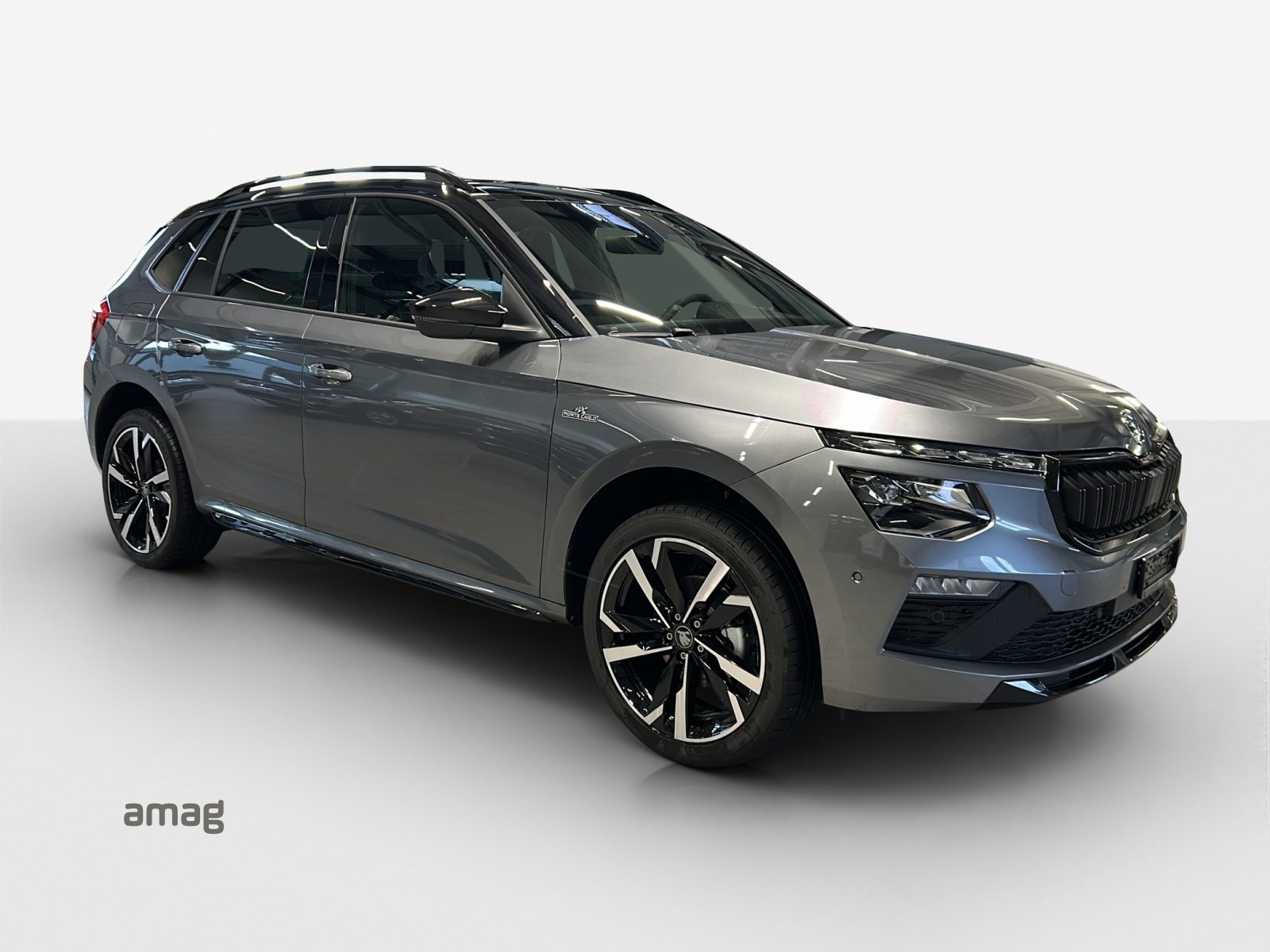 SKODA Kamiq Monte Carlo, Benzina, Occasioni / Usate, Automatico - 6