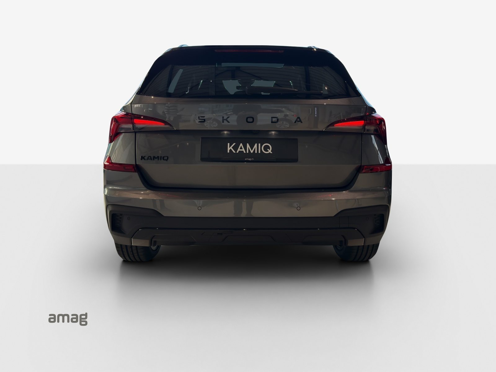SKODA Kamiq Monte Carlo, Benzina, Occasioni / Usate, Automatico - 4