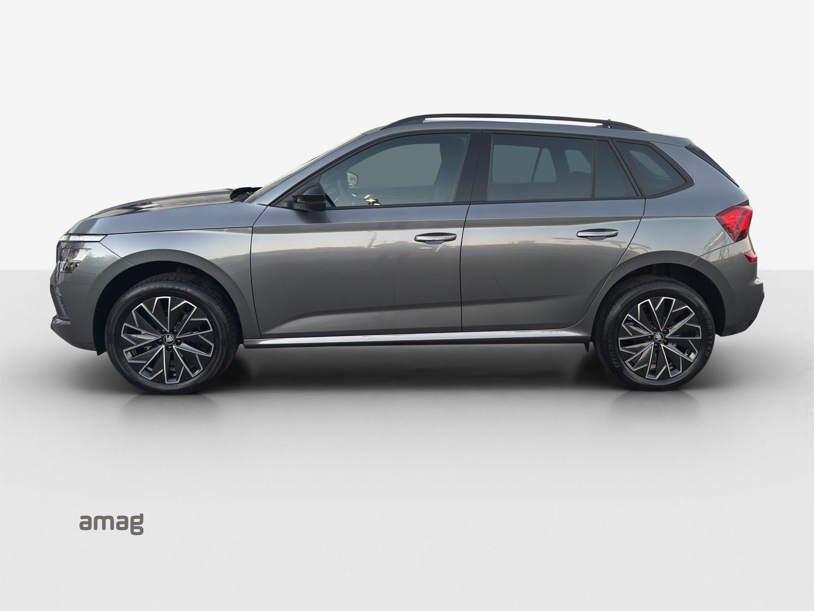 SKODA Kamiq Dynamic (Netto), Benzina, Occasioni / Usate, Automatico - 2