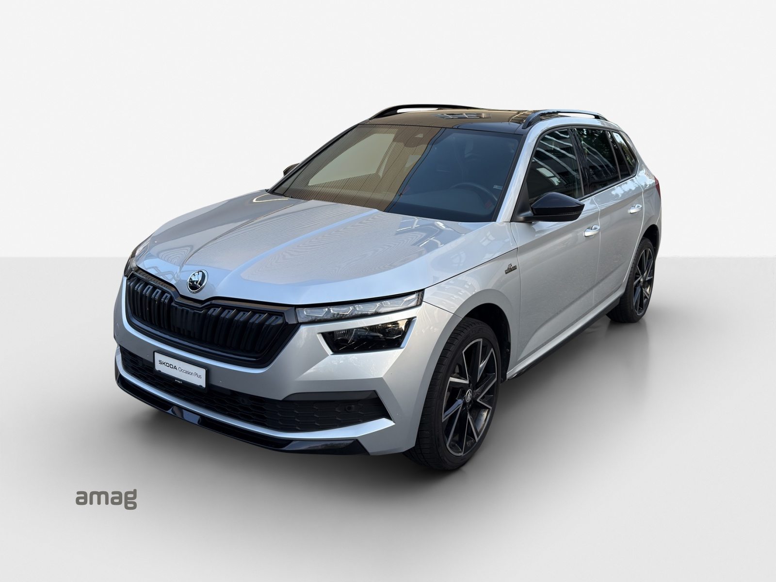 SKODA KAMIQ Monte Carlo