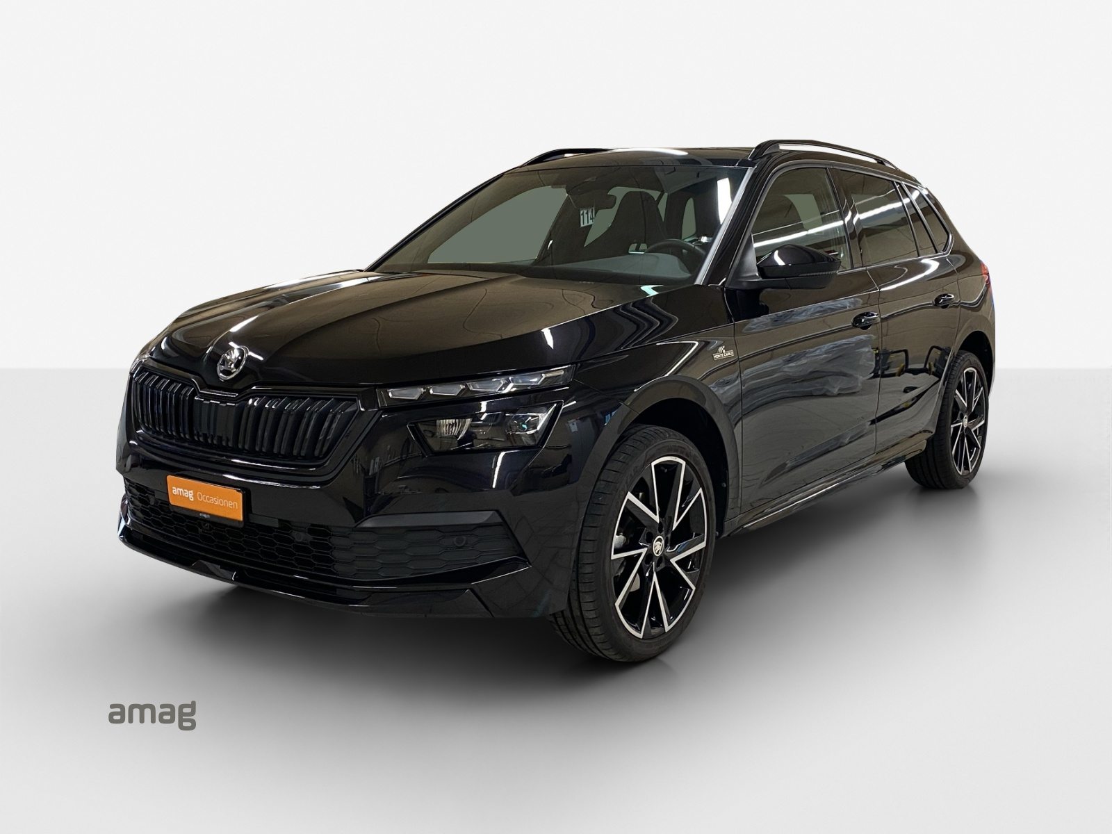 SKODA KAMIQ Monte Carlo