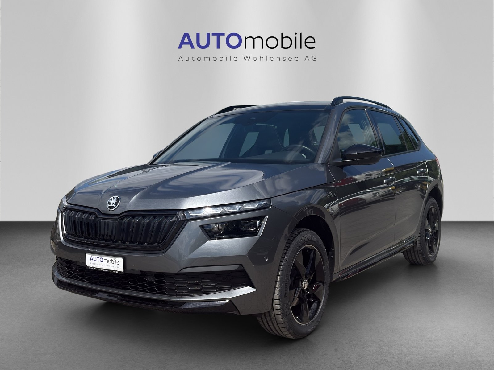 SKODA Kamiq 1.0 TSI Monte Carlo DSG, Benzina, Occasioni / Usate, Automatico - 2