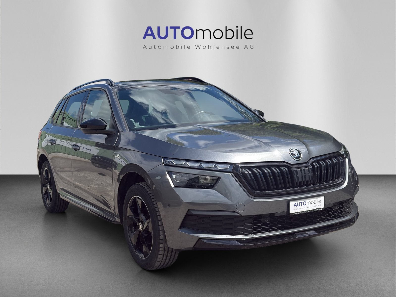 SKODA Kamiq 1.0 TSI Monte Carlo DSG, Benzina, Occasioni / Usate, Automatico - 4