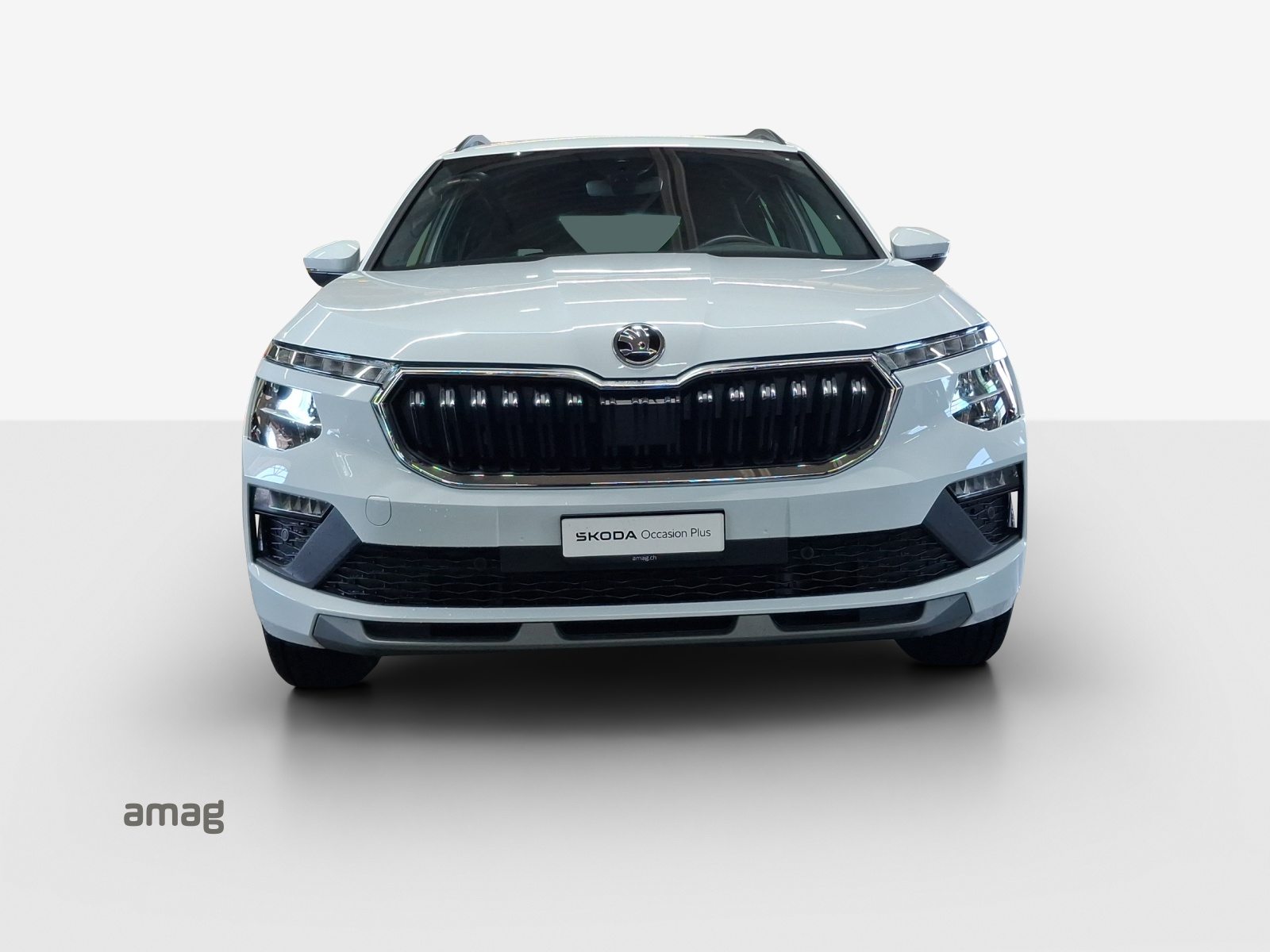 SKODA Kamiq Selection, Benzina, Occasioni / Usate, Automatico - 7