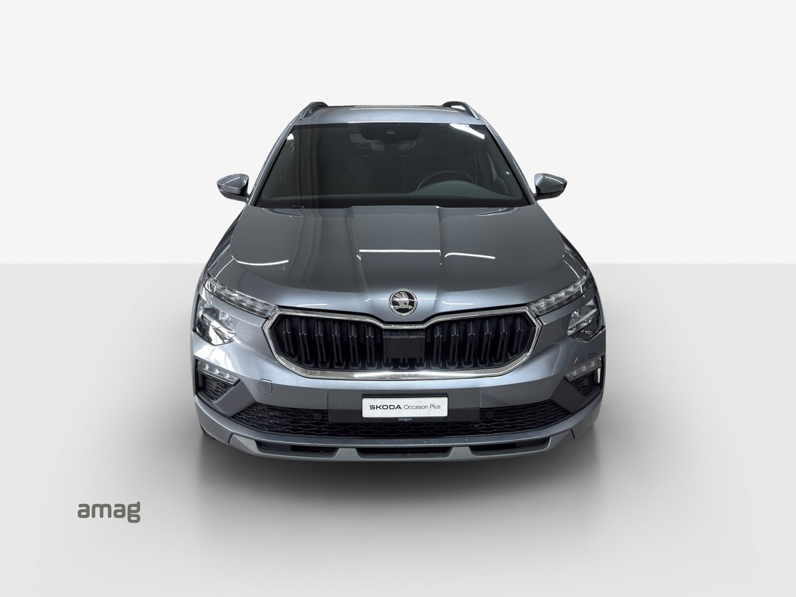 SKODA Kamiq Selection, Benzina, Occasioni / Usate, Automatico - 7