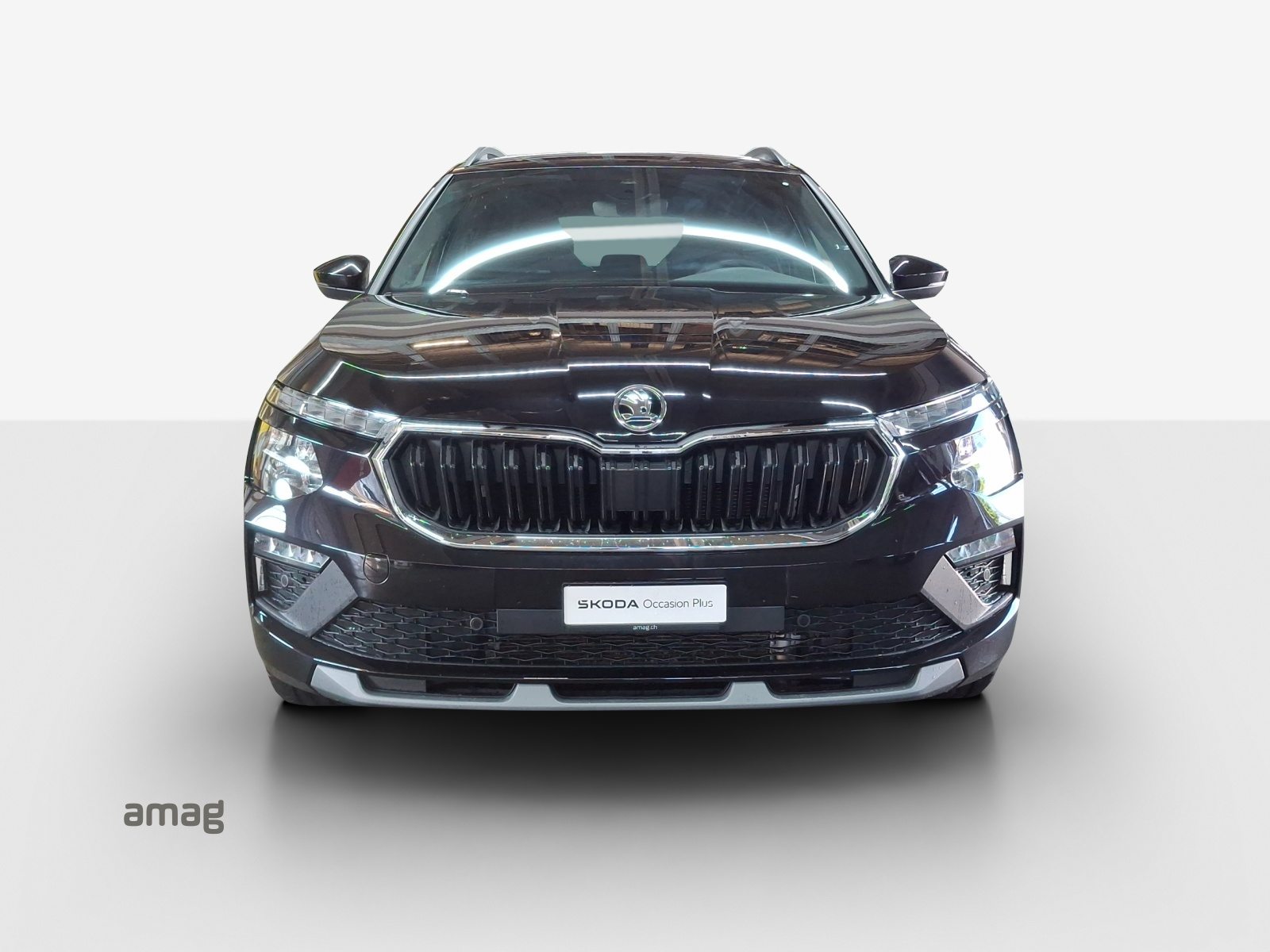 SKODA Kamiq Selection, Benzina, Occasioni / Usate, Automatico - 6