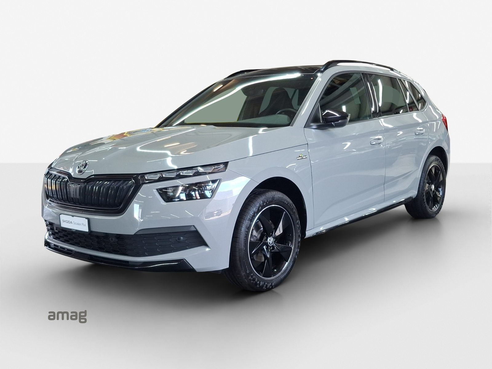SKODA KAMIQ Monte Carlo