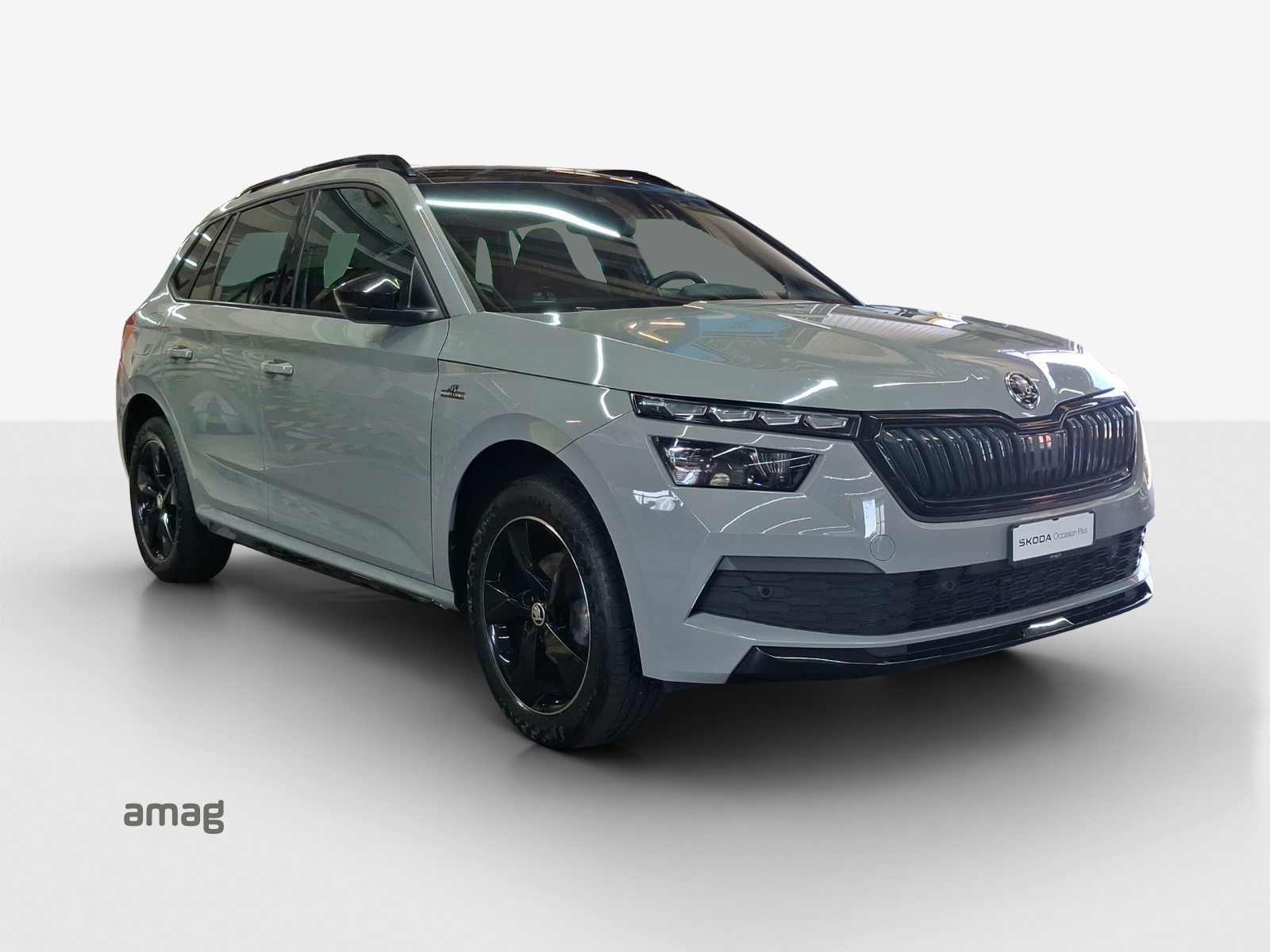 SKODA KAMIQ Monte Carlo, Petrol, Second hand / Used, Automatic - 6