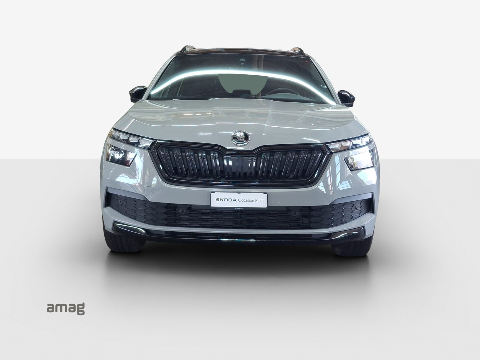 SKODA KAMIQ Monte Carlo, Petrol, Second hand / Used, Automatic - 7
