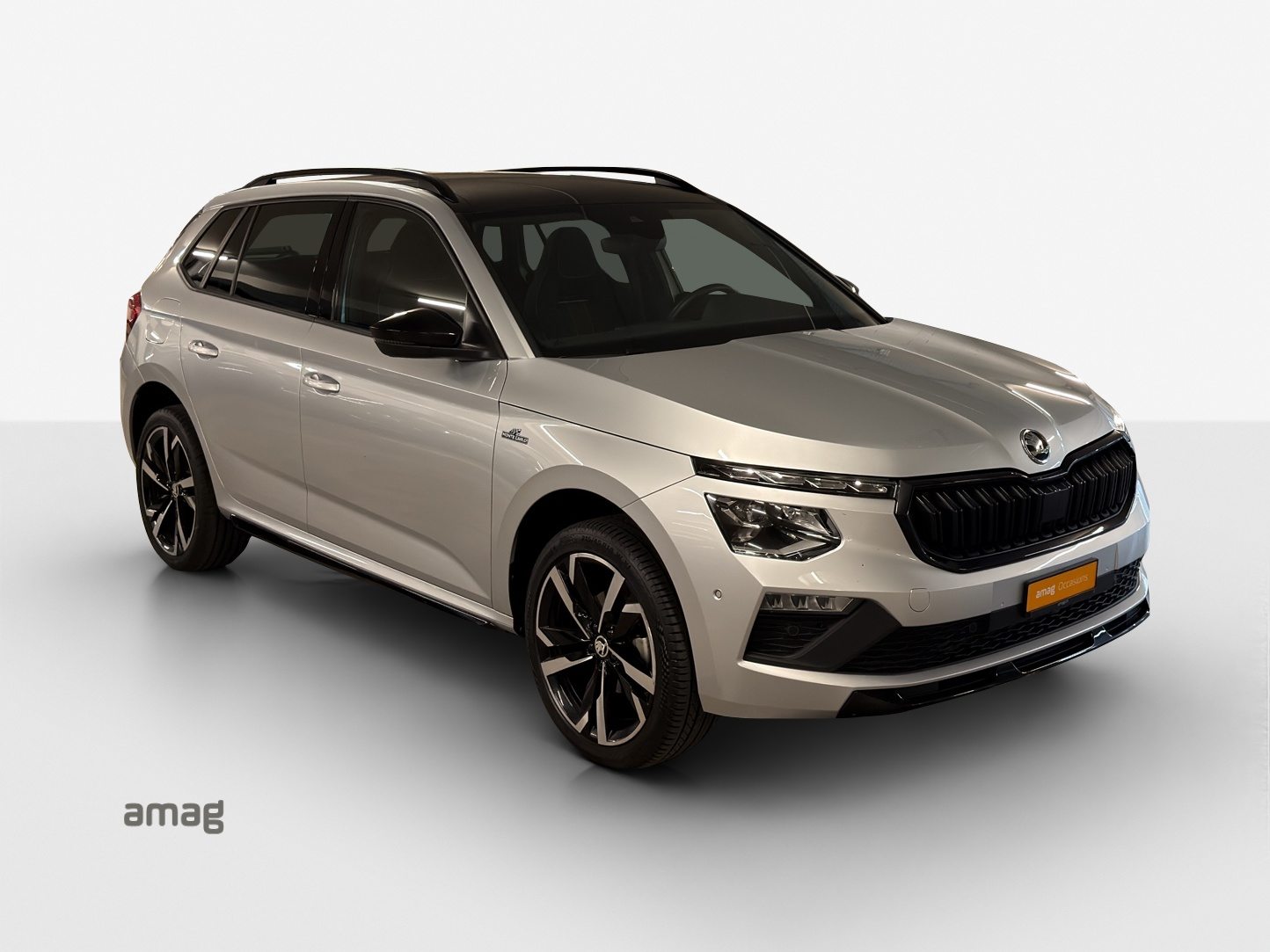 SKODA Kamiq Monte Carlo, Benzina, Occasioni / Usate, Automatico - 6