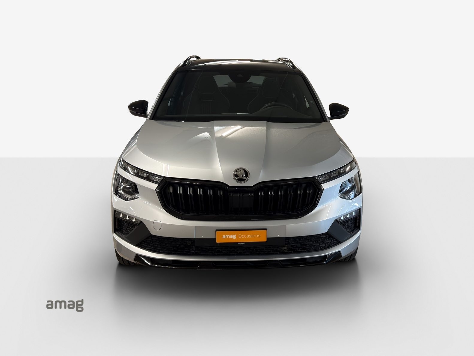SKODA Kamiq Monte Carlo, Benzina, Occasioni / Usate, Automatico - 7