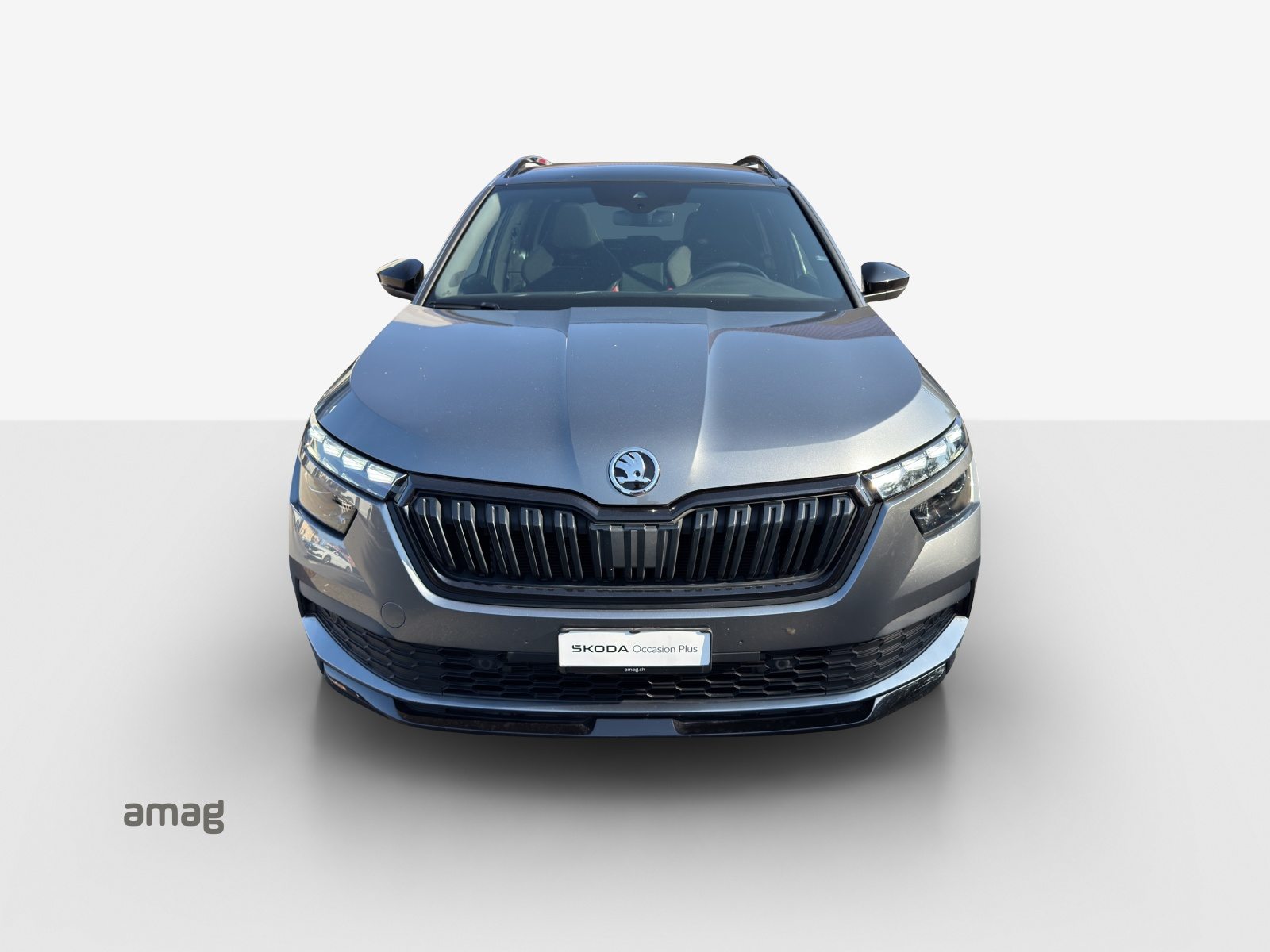SKODA KAMIQ Monte Carlo, Benzina, Occasioni / Usate, Automatico - 7