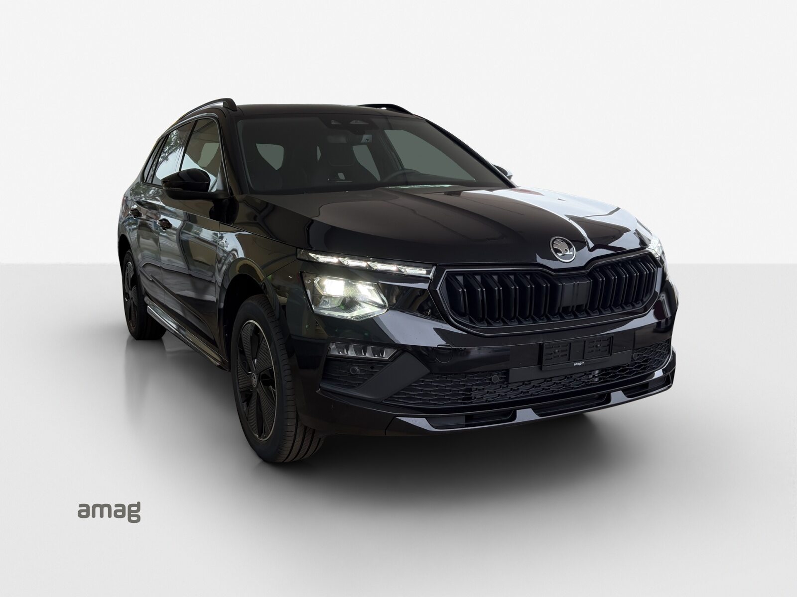 SKODA Kamiq Monte Carlo, Benzina, Occasioni / Usate, Automatico - 6