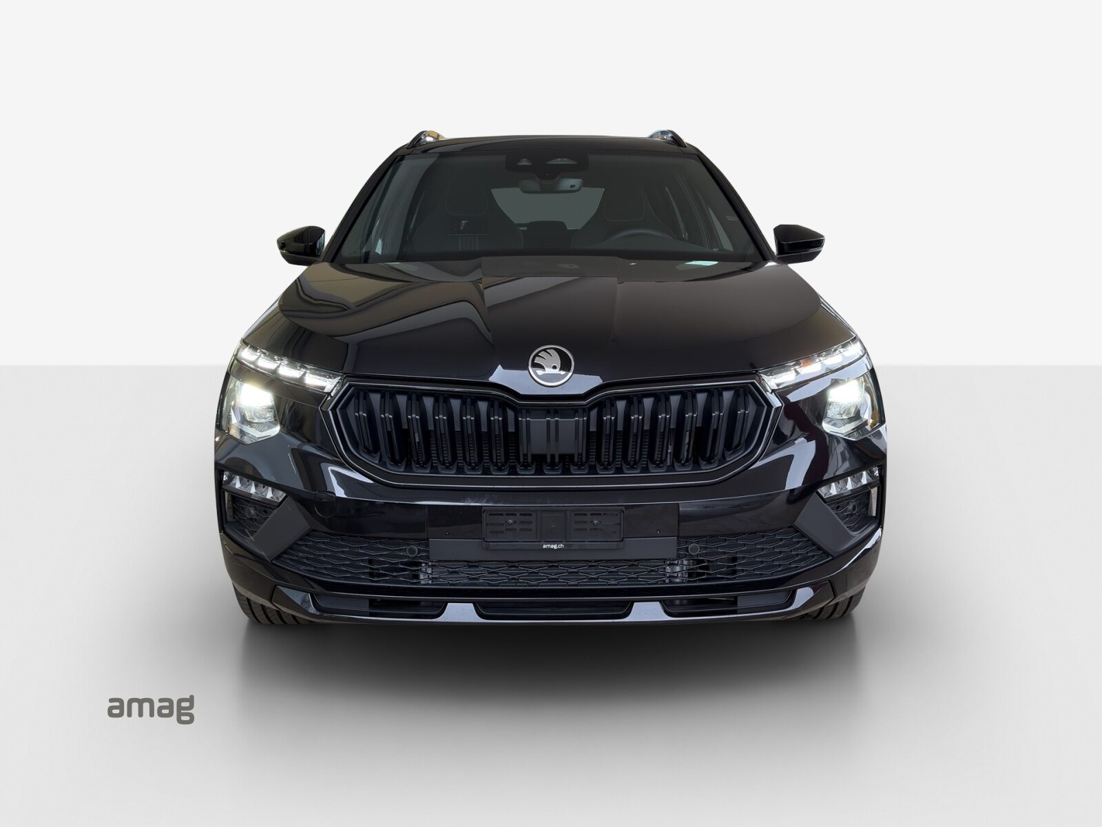 SKODA Kamiq Monte Carlo, Benzina, Occasioni / Usate, Automatico - 7