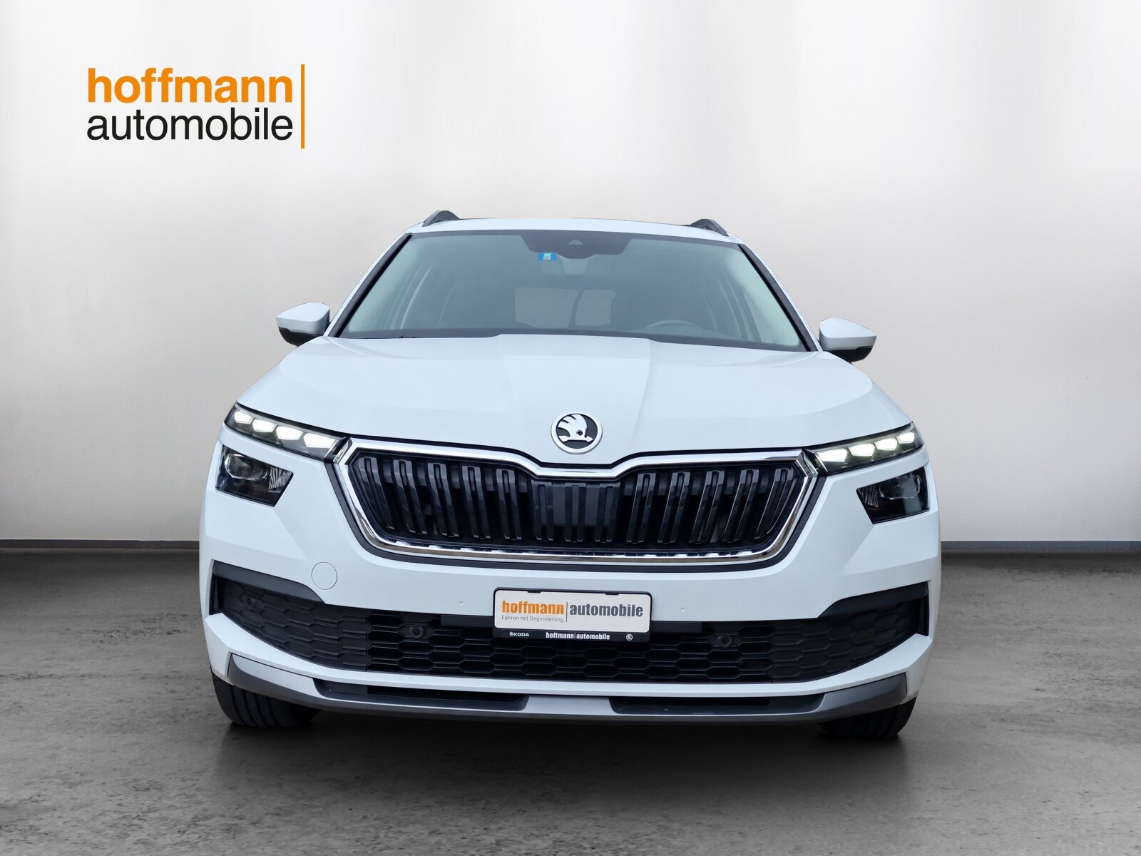SKODA Kamiq 1.0 TSI Ambition DSG, Benzina, Occasioni / Usate, Automatico - 2