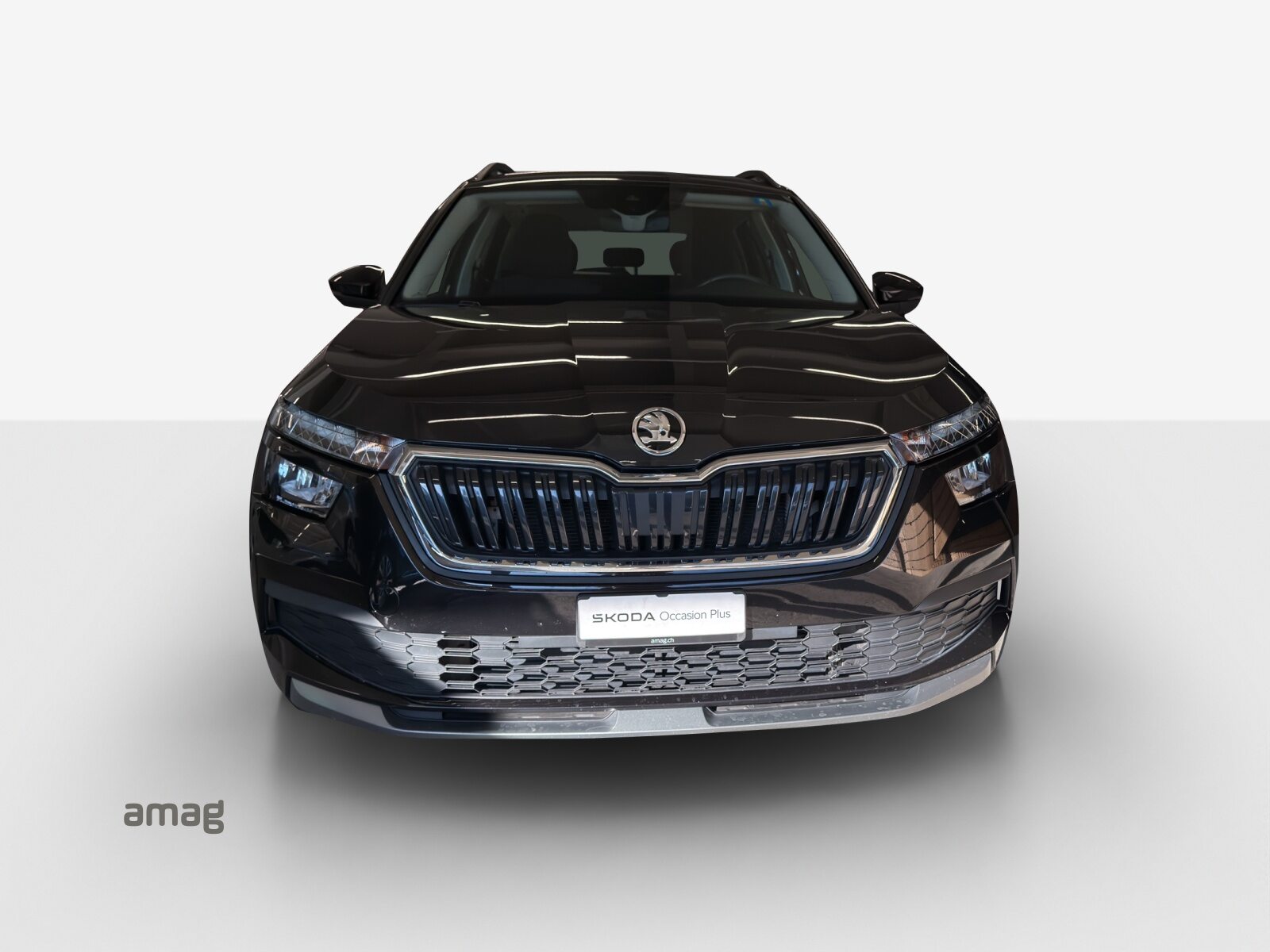 SKODA KAMIQ Style, Benzina, Occasioni / Usate, Automatico - 7