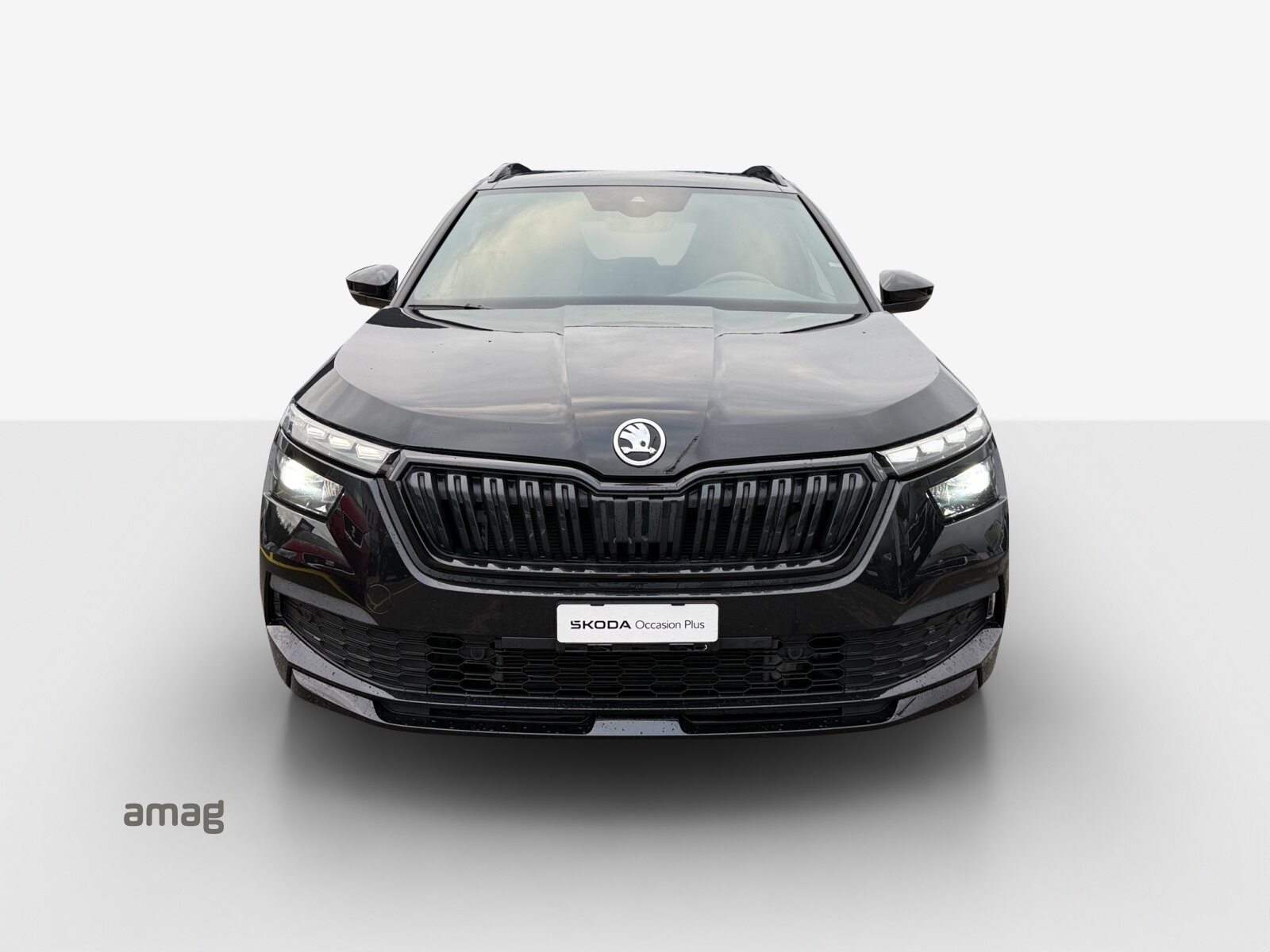 SKODA KAMIQ Monte Carlo, Benzina, Occasioni / Usate, Automatico - 7
