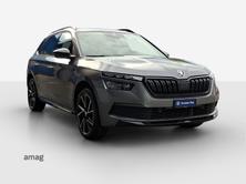 SKODA Kamiq Monte Carlo, Benzina, Occasioni / Usate, Automatico - 6