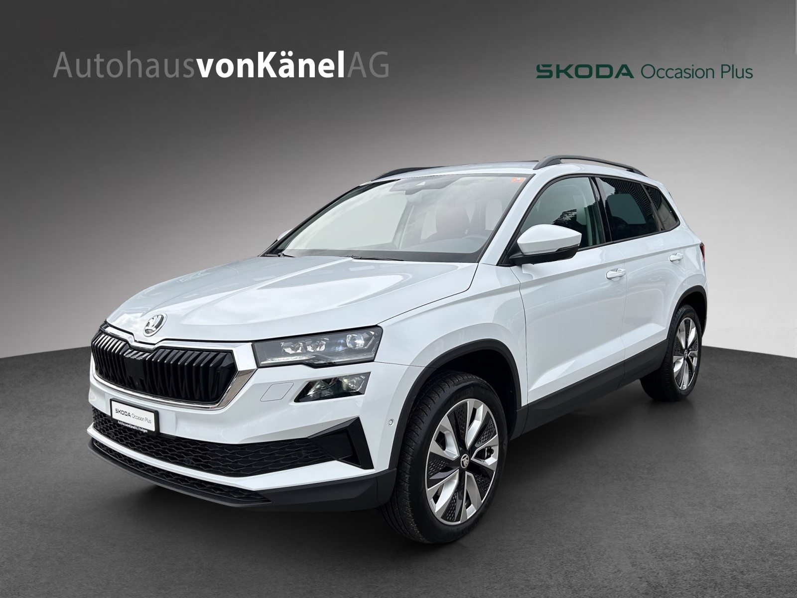 SKODA Karoq Style
