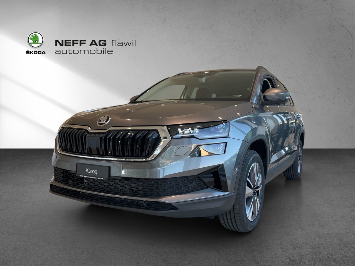 SKODA Karoq Dynamic (Netto)