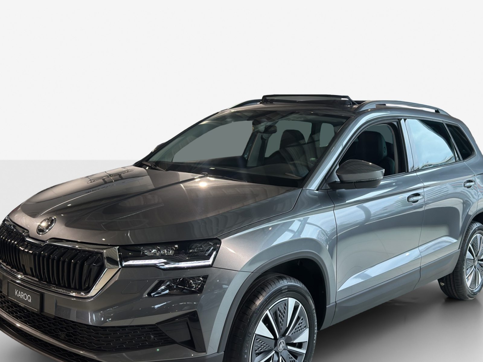 SKODA Karoq Dynamic (Netto)