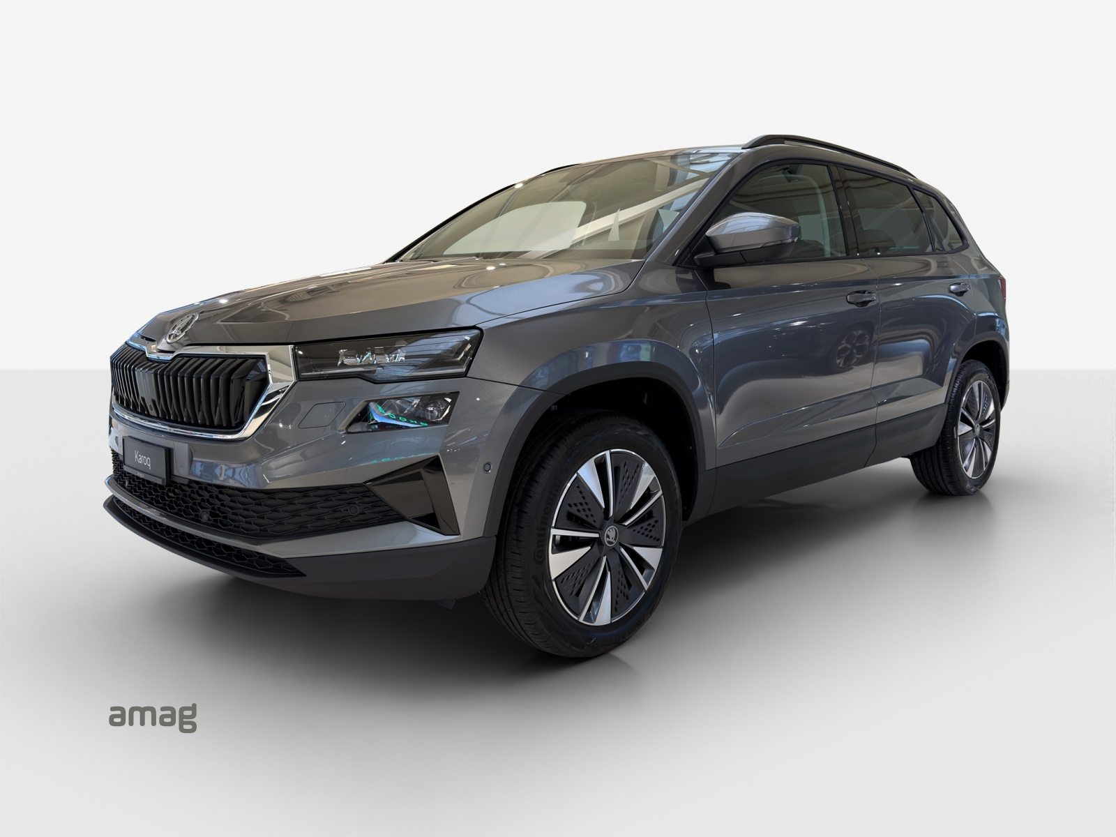SKODA Karoq Dynamic (Netto)