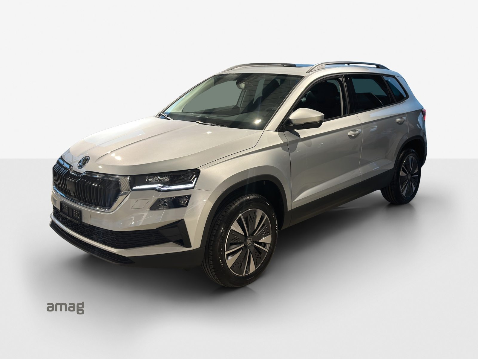 SKODA Karoq Dynamic (Netto)