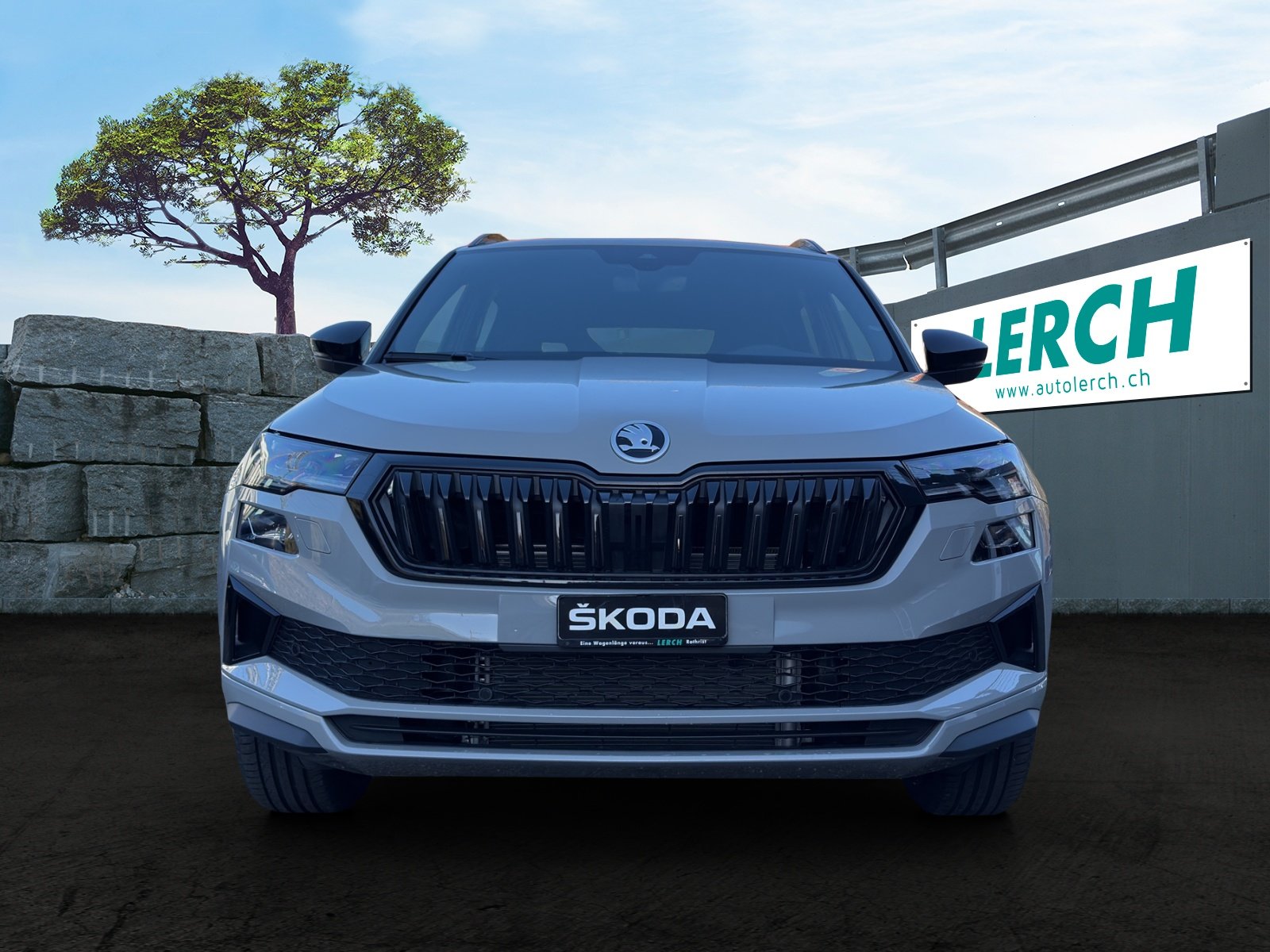SKODA Karoq 2.0 TSI Dynamic Limited Edition 4x4 DSG, Essence, Voiture nouvelle, Automatique - 2