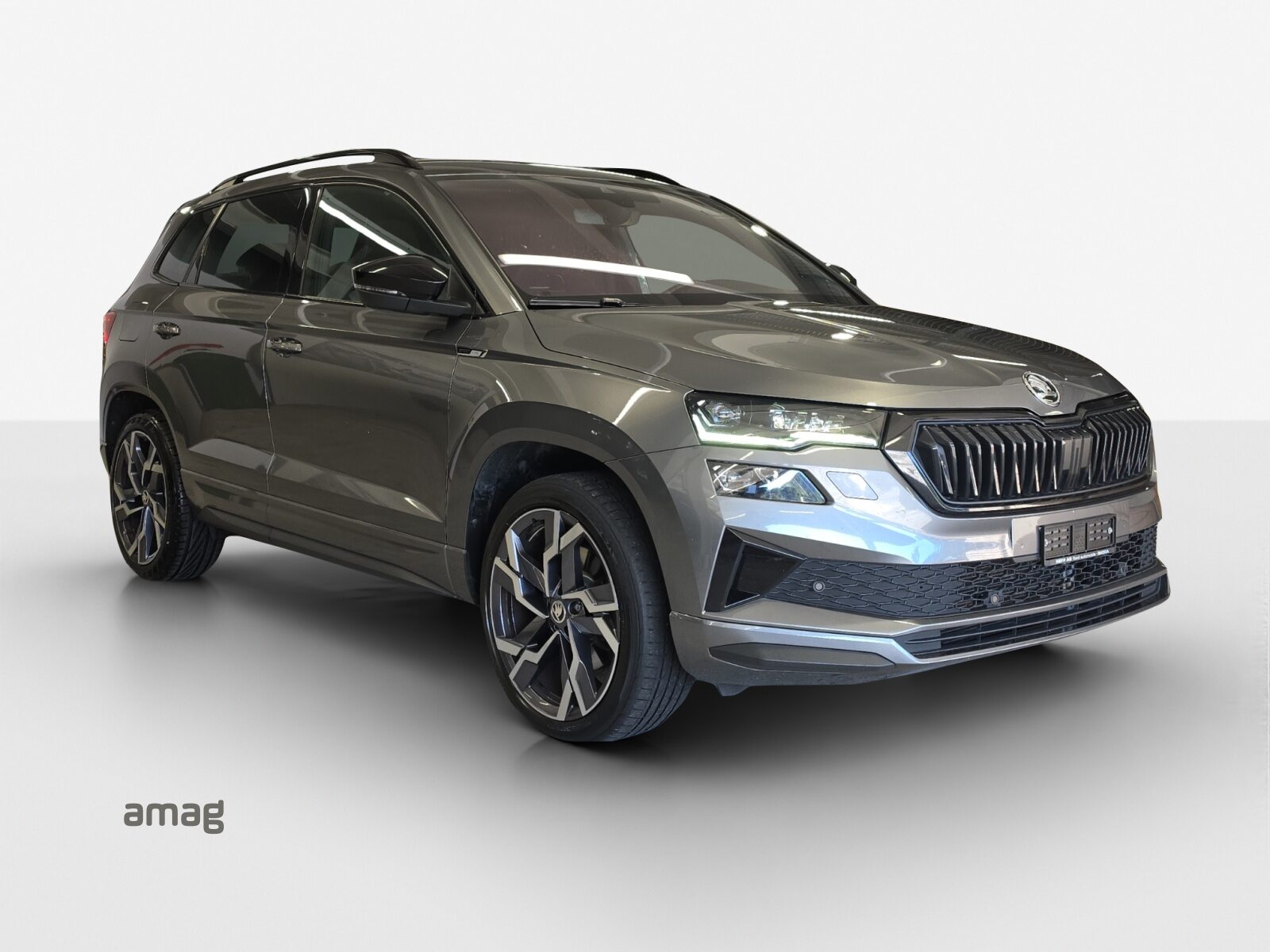 SKODA Karoq 2.0TDI Sport L. 4x4, Diesel, Occasioni / Usate, Automatico - 6
