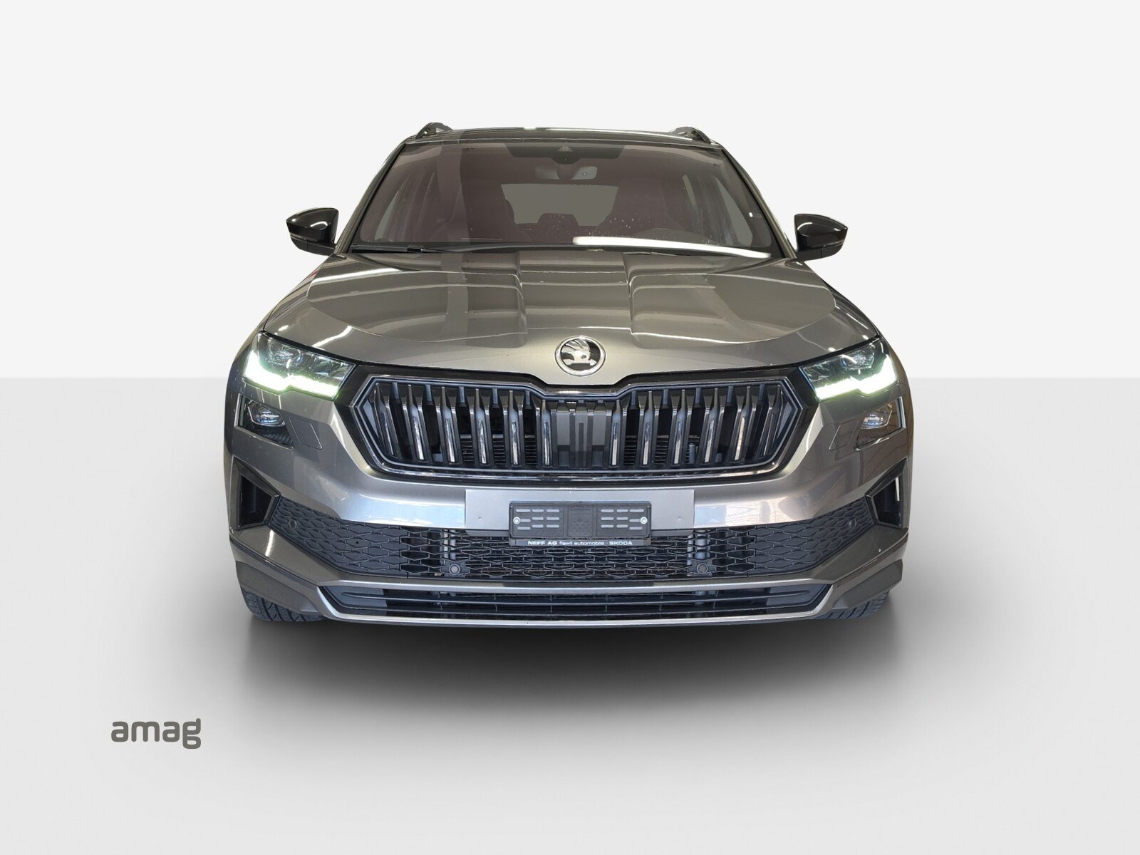 SKODA Karoq 2.0TDI Sport L. 4x4, Diesel, Occasioni / Usate, Automatico - 7