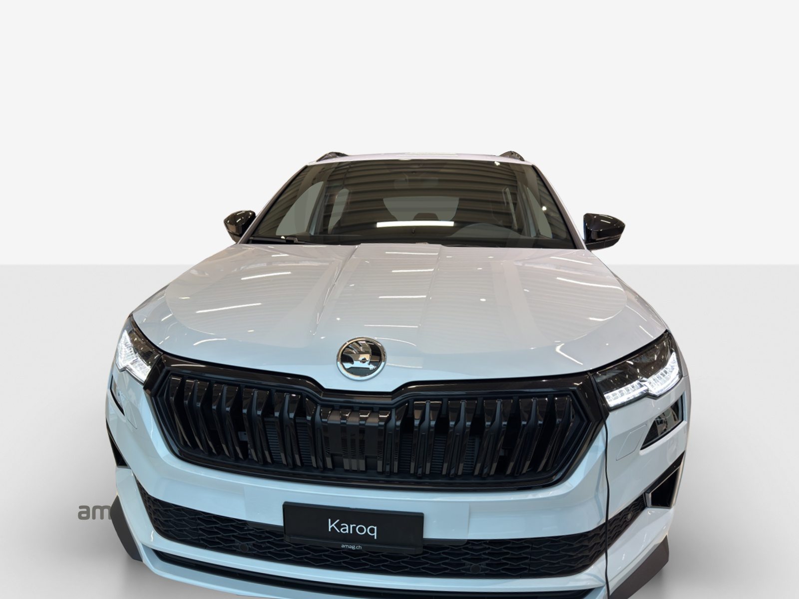SKODA Karoq Sportline, Benzina, Auto nuove, Automatico - 7